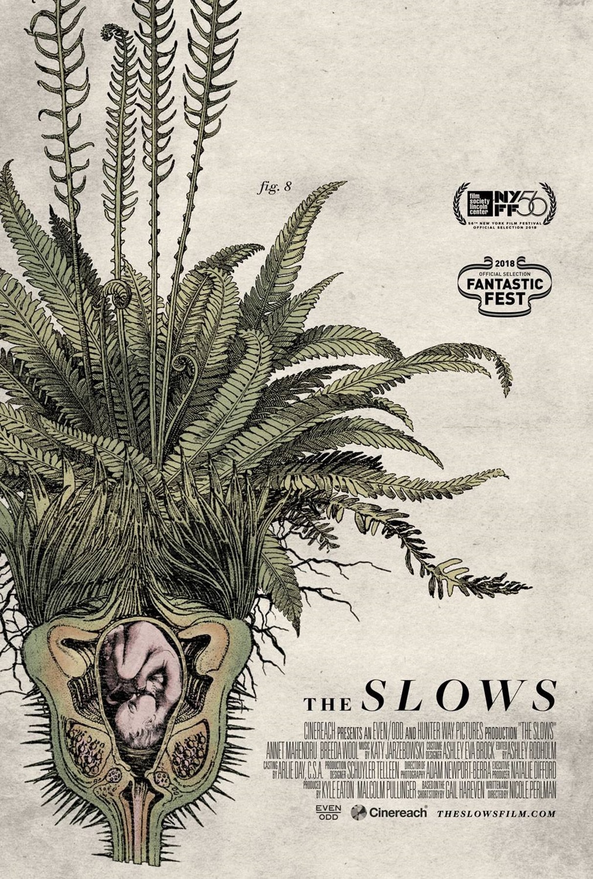 THE SLOWS