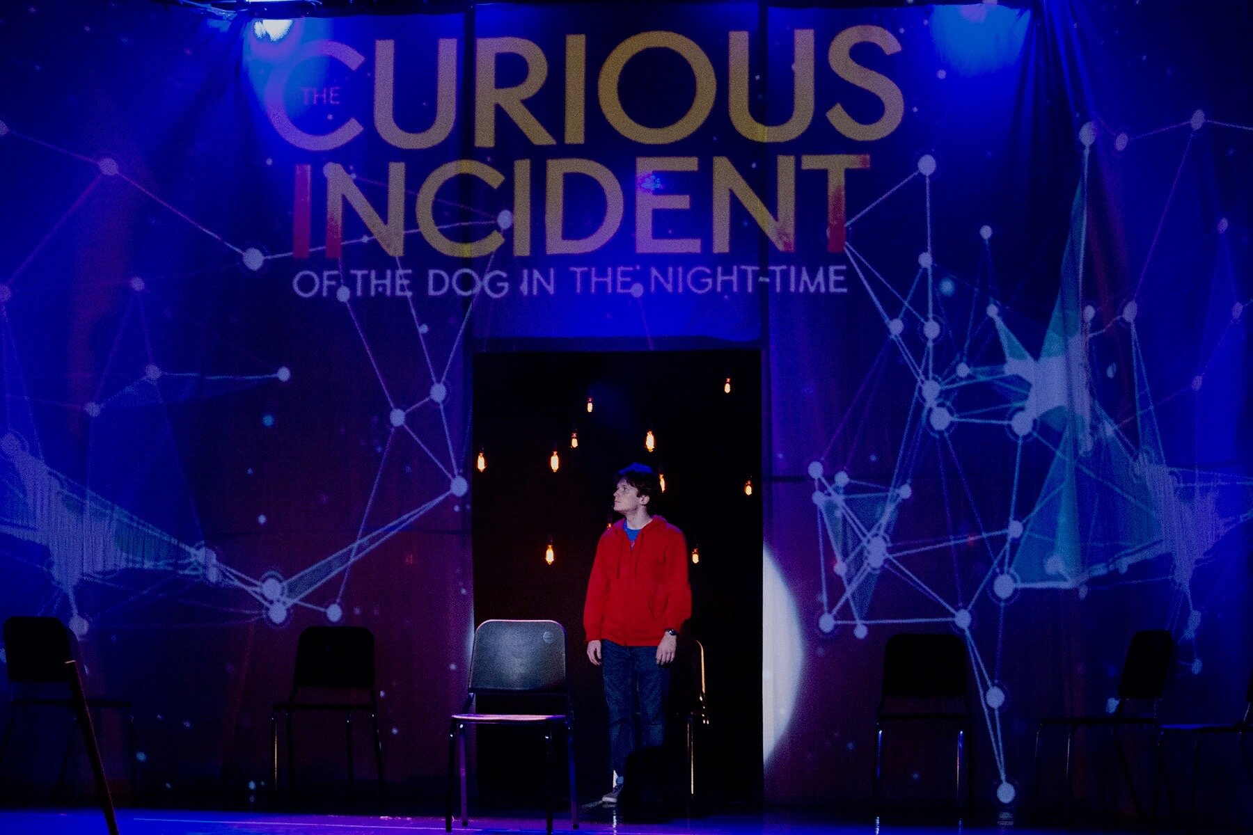 THE CURIOUS INCIDENT OF THE DOG IN THE NIGHT-TIME (2019)