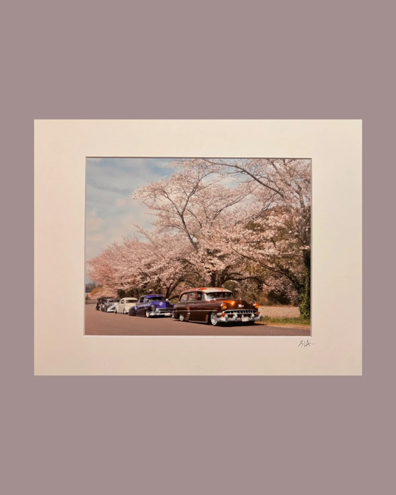 Japanese cherry Blossom 2