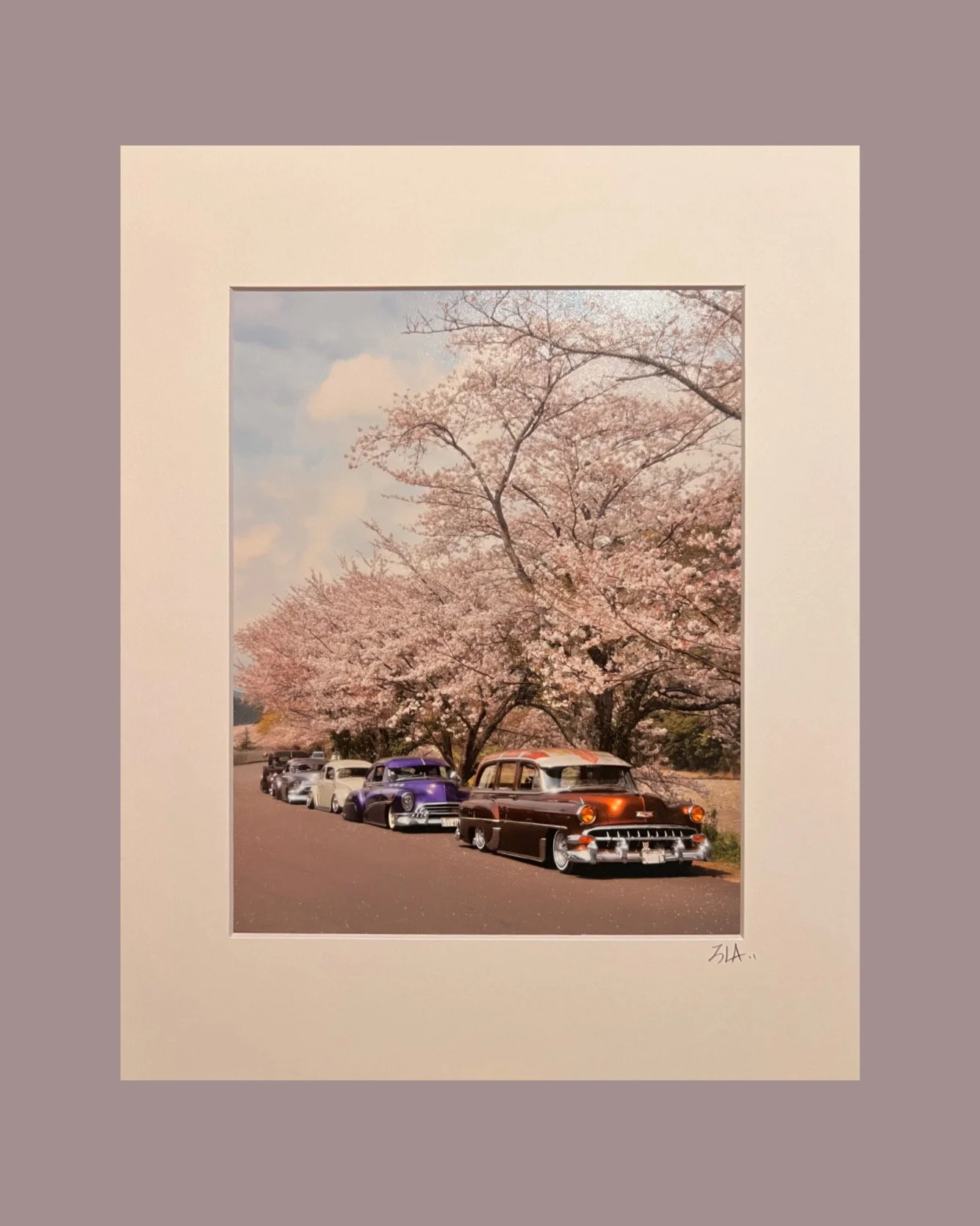 Cherry blossom Japan 1