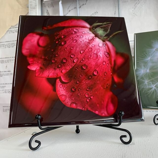 Anyone else loving all this rain?! We love it almost as much as @longview_photography photography (but not quite!). Kristen&rsquo;s prints are so beautiful, and we are loving these pieces on tile!
.
.
.
 #photography #photo #alabamaphotographer #loca