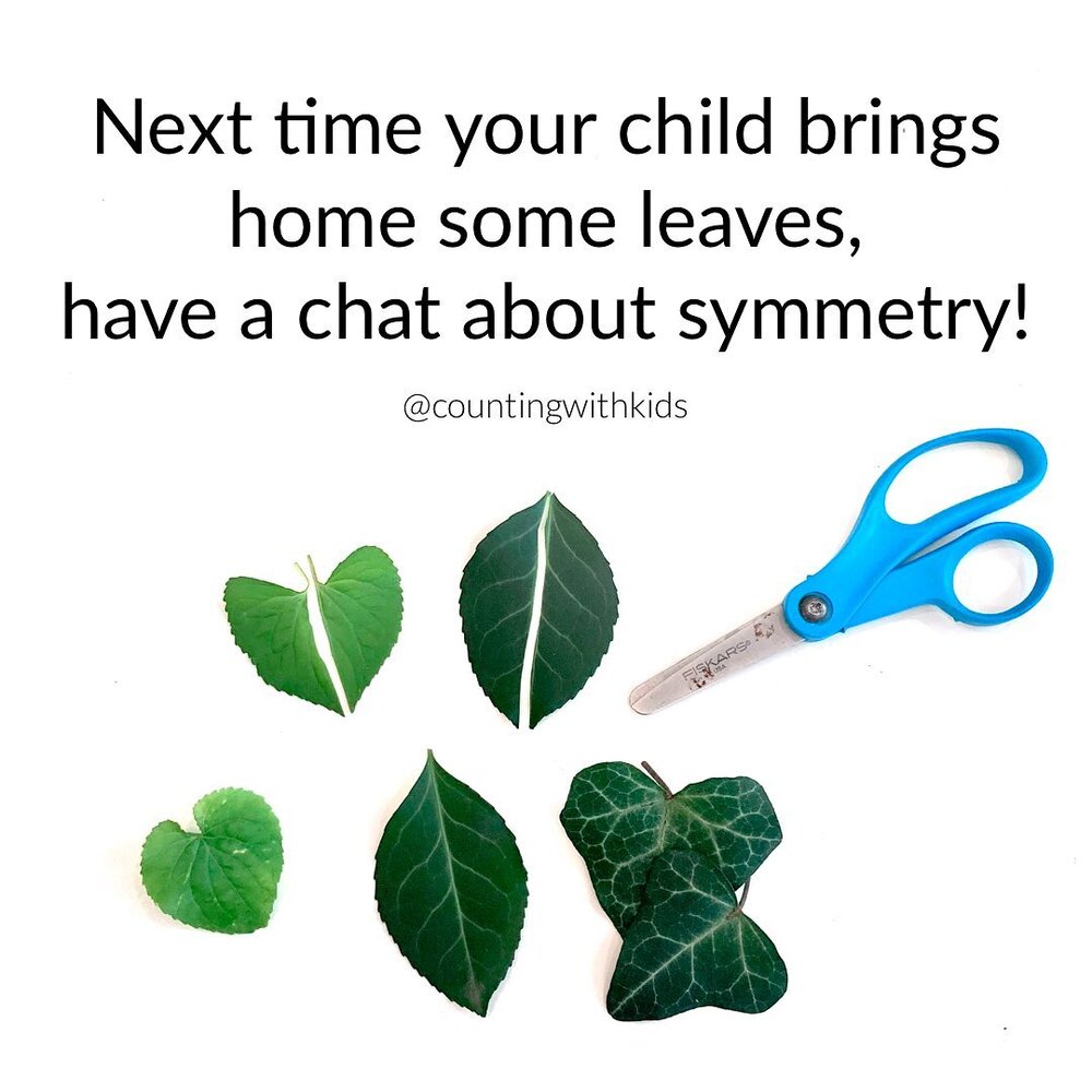 Symmetry can be a really tricky concept for children to visualize. We can help by showing them examples of symmetry in the world around us!
🍃 Children&rsquo;s leaf collections are a great tool for a math chat about symmetry.
(➡️ Swipe for language.)