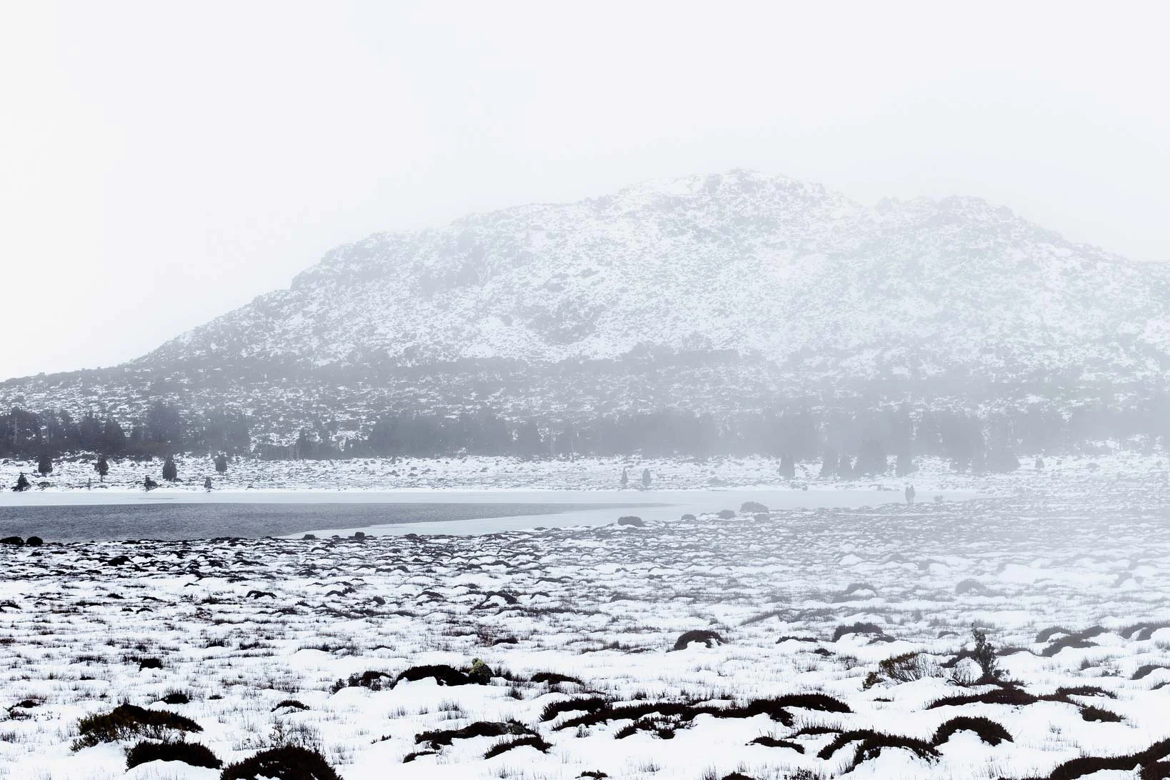 pine-lake-tas.jpg
