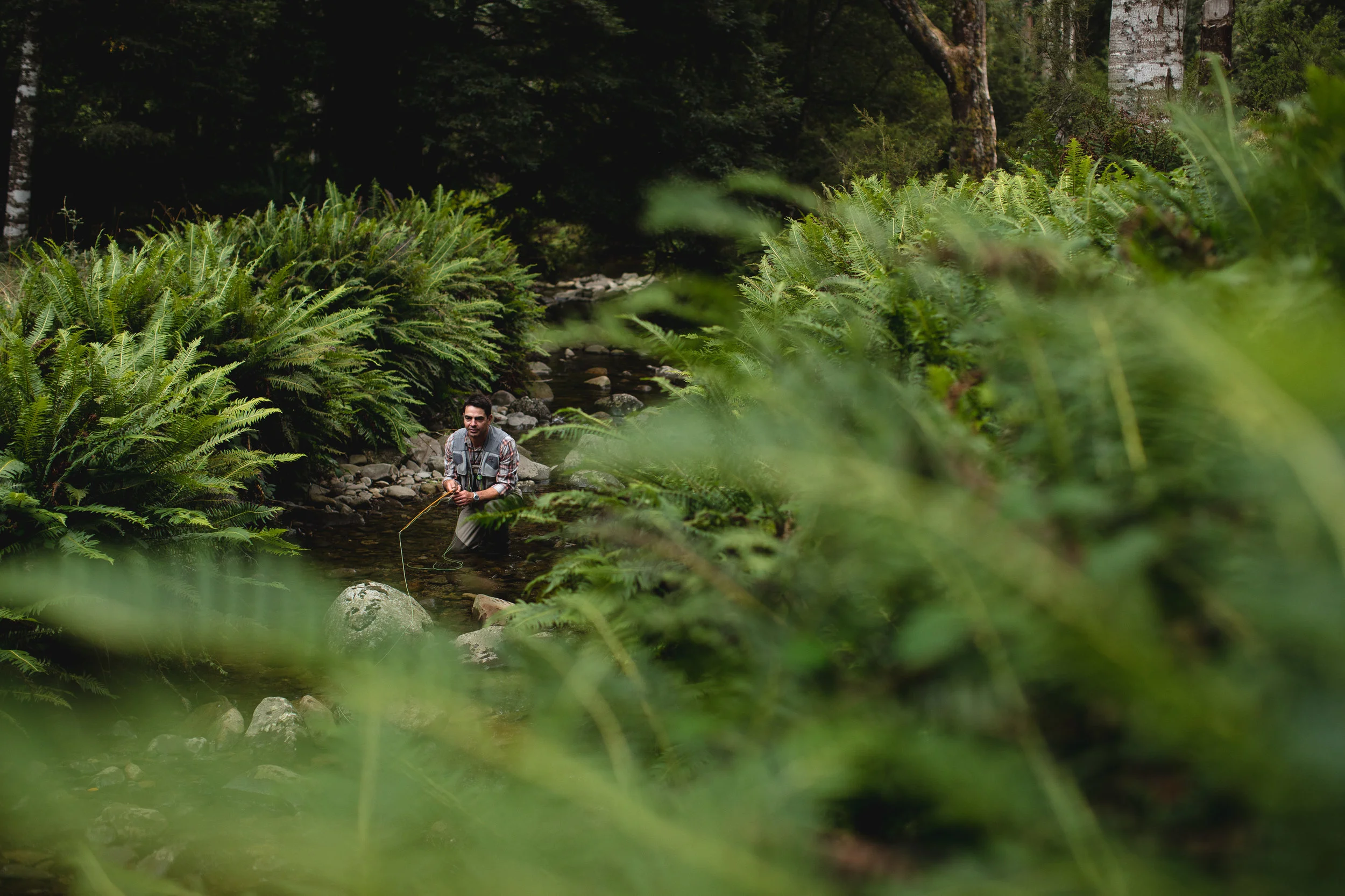 Angler Access — Anglers Alliance Tasmania