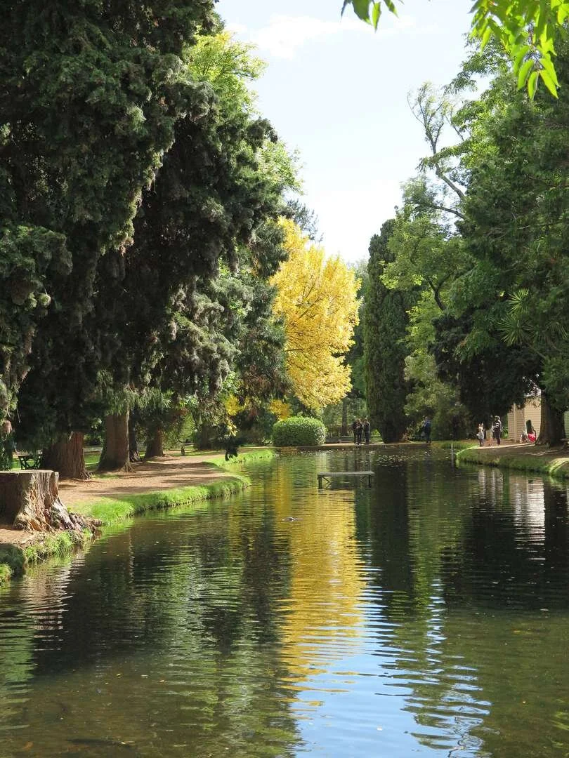 AAT’s Position on the Plenty River Fish Kill