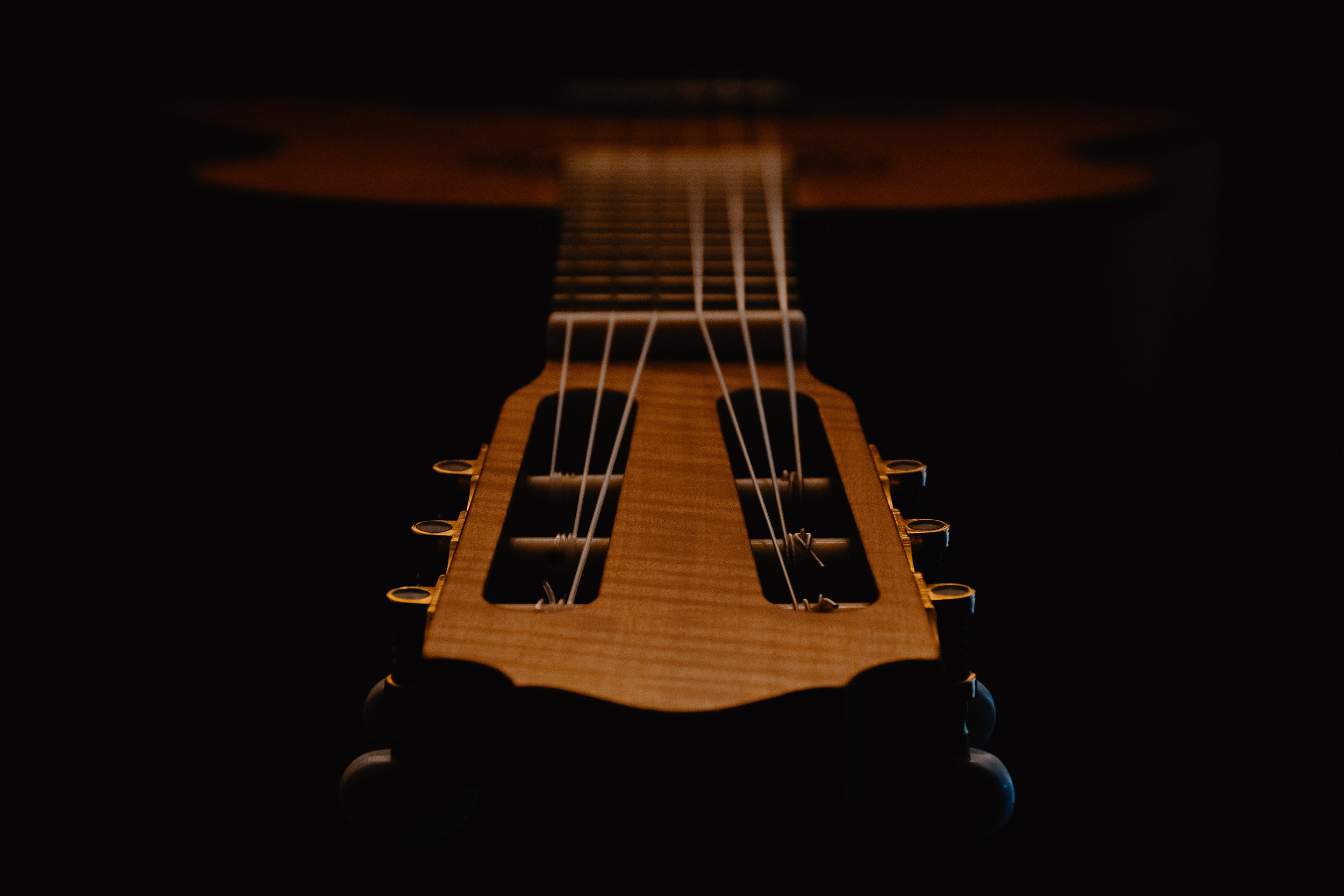 Canva - Selective Focus Photograph of Guitar Headstock.jpg