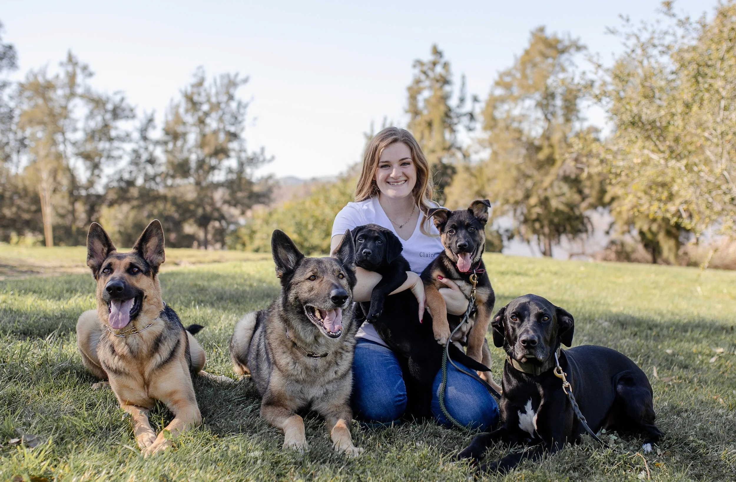 loyal k9 dog training