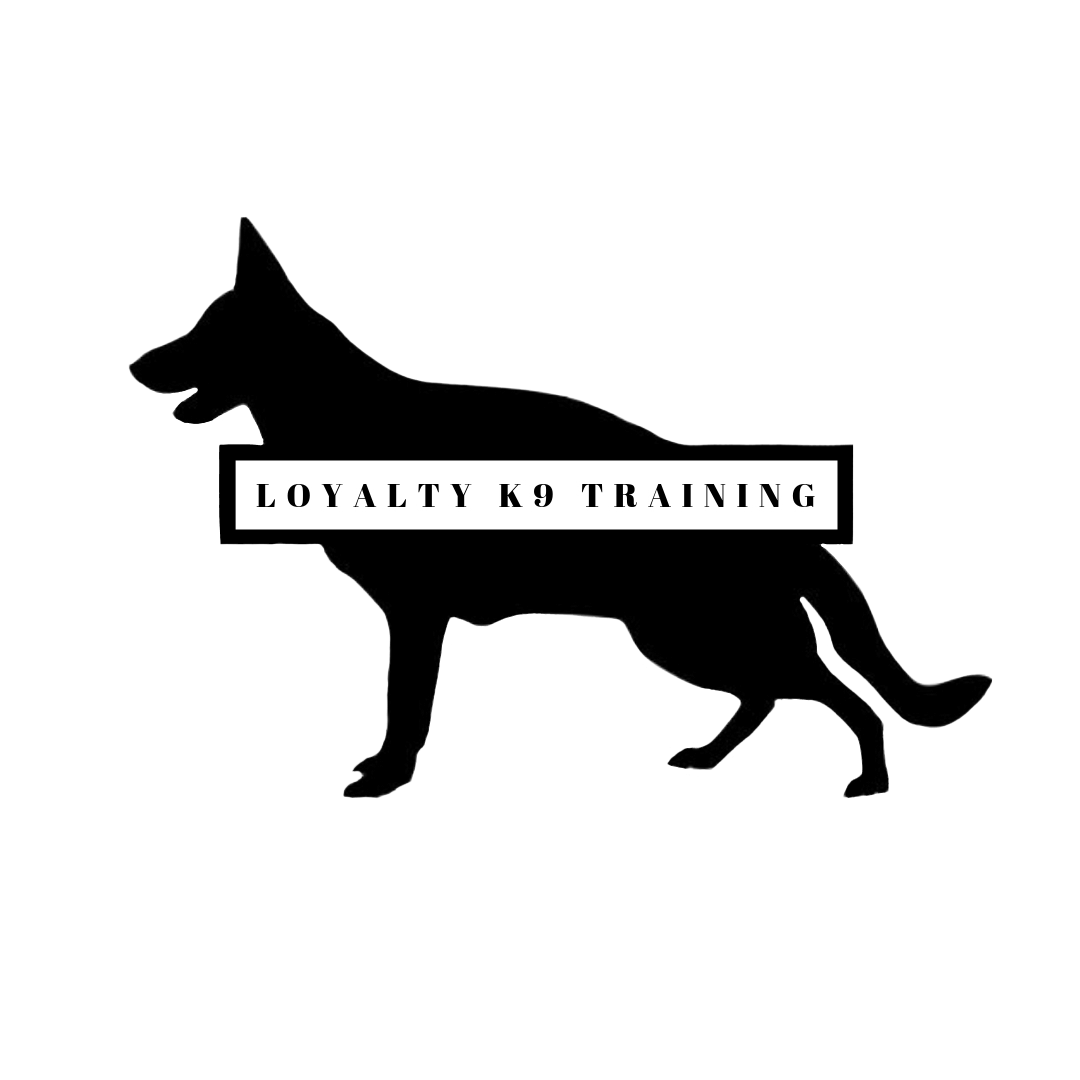 Loyalty K9 Training