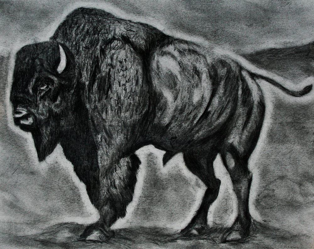 Buffalo (1 of 1).jpg