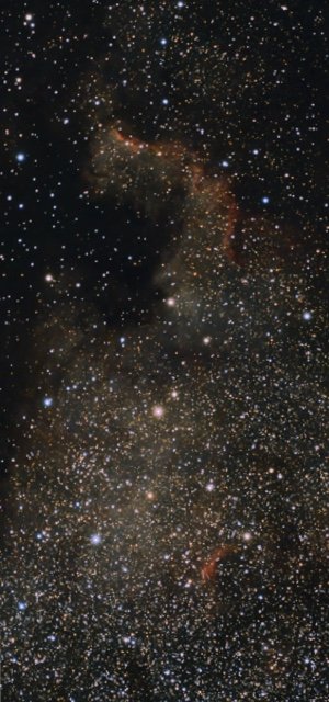North American Nebula- DIGITAL DOWNLOAD