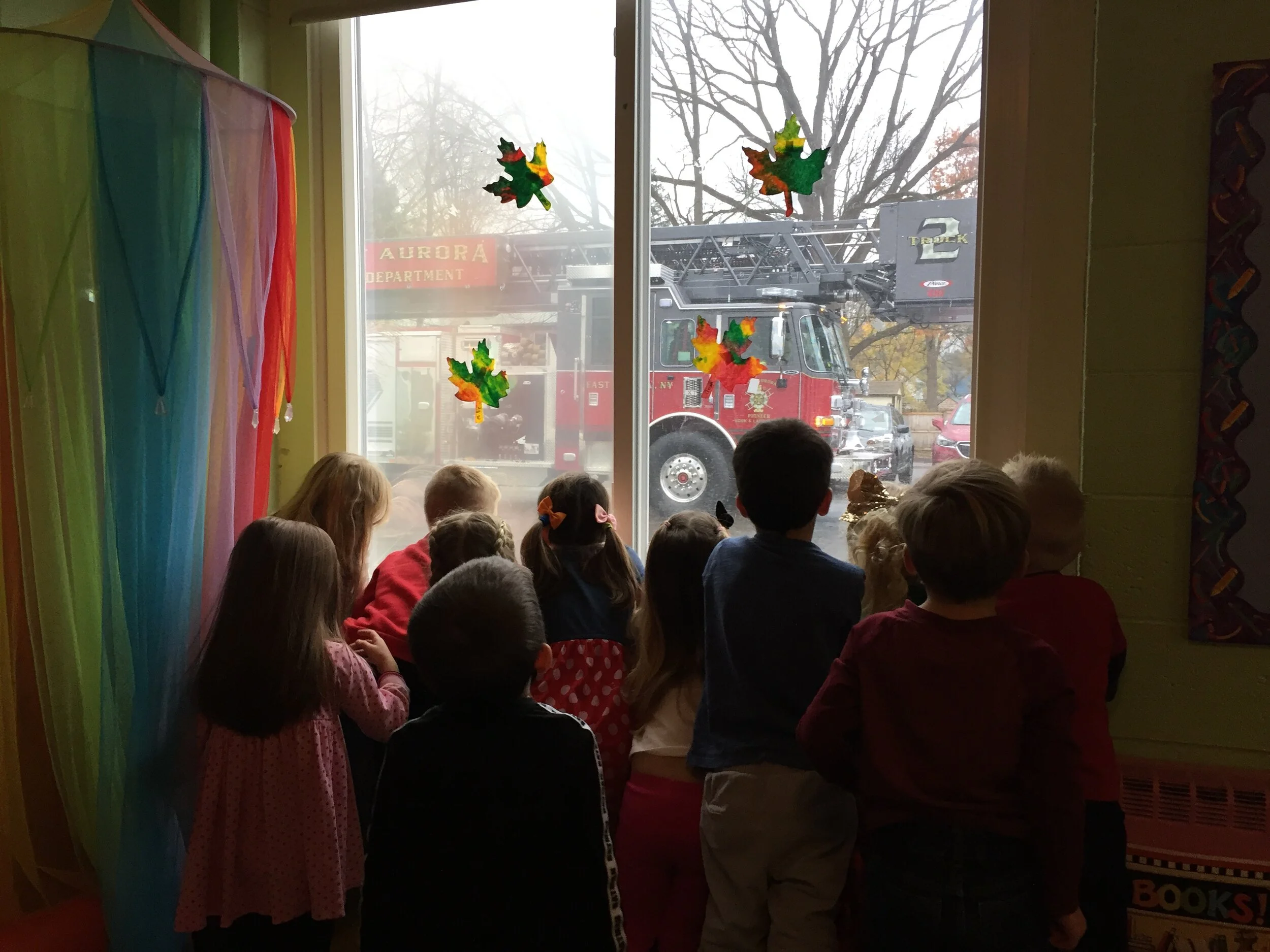 window.jpeg