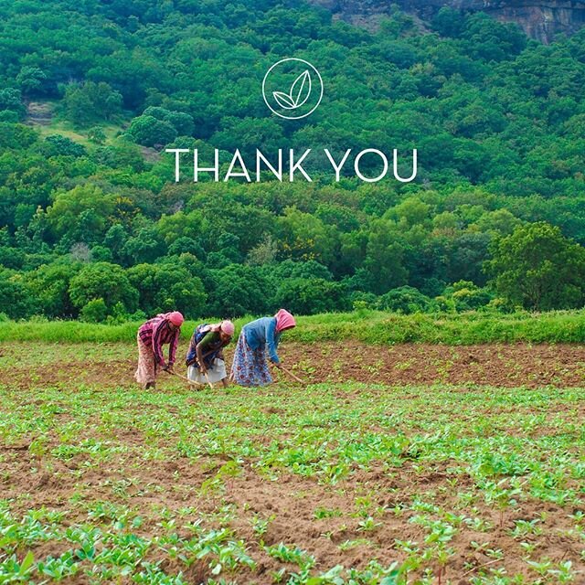 Thank you for feeding us.⁠⠀
I would like to take a moment to thank all the people continuing to go to the fields each day to harvest our food, to serve us at the checkout, to drive our food across countries far from their families, to work in kitchen