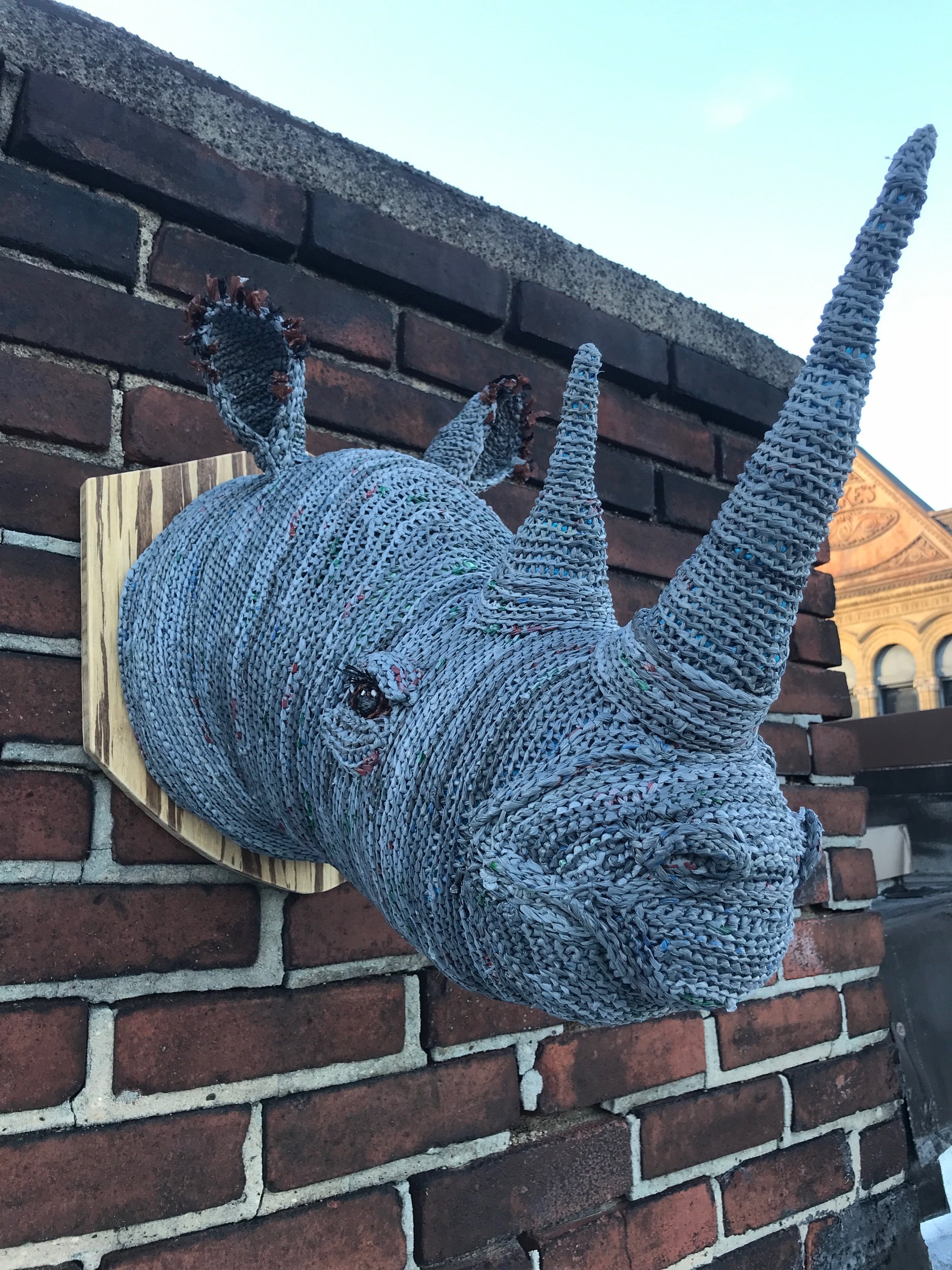 Plarn rhino 