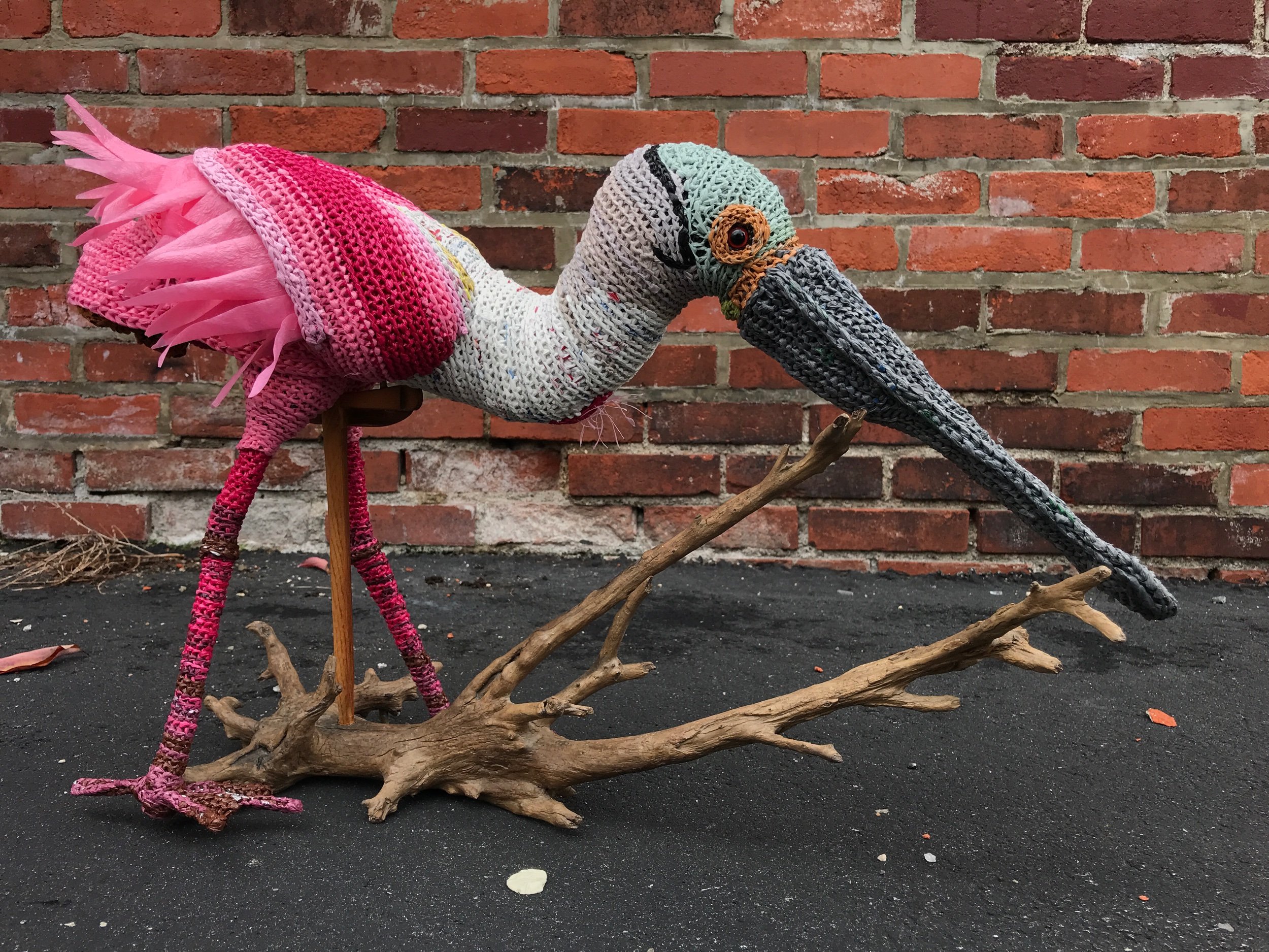 Roseate Spoonbill