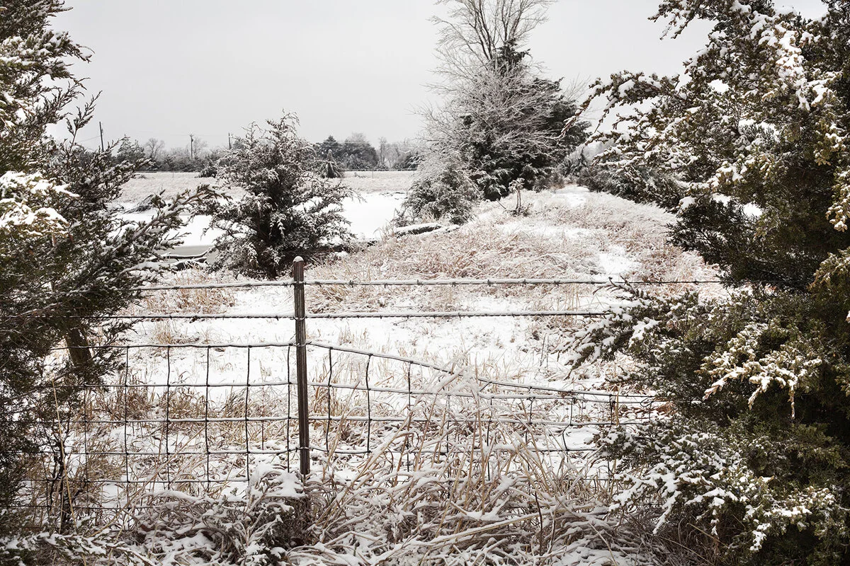 09_ALightDusting_5706 copy.jpg