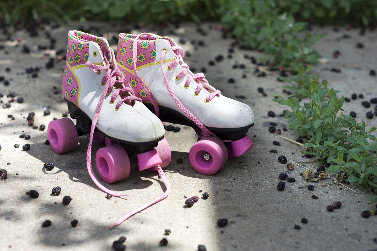   Skates in the Mulberries , 2014 