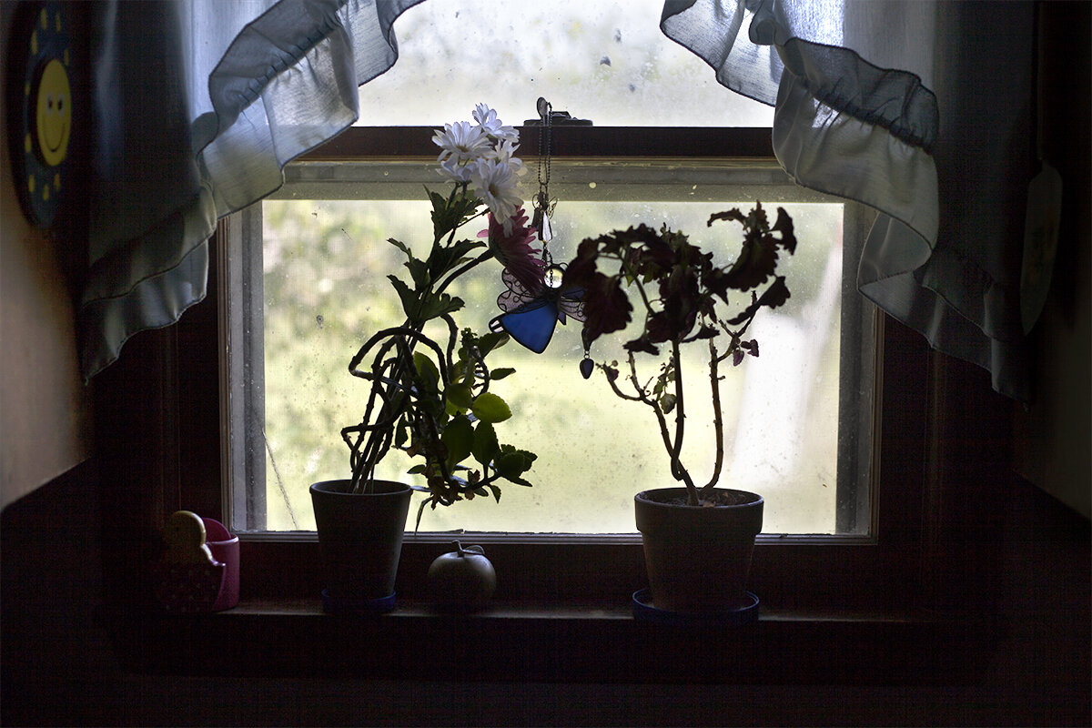   Kitchen Window , 2017 
