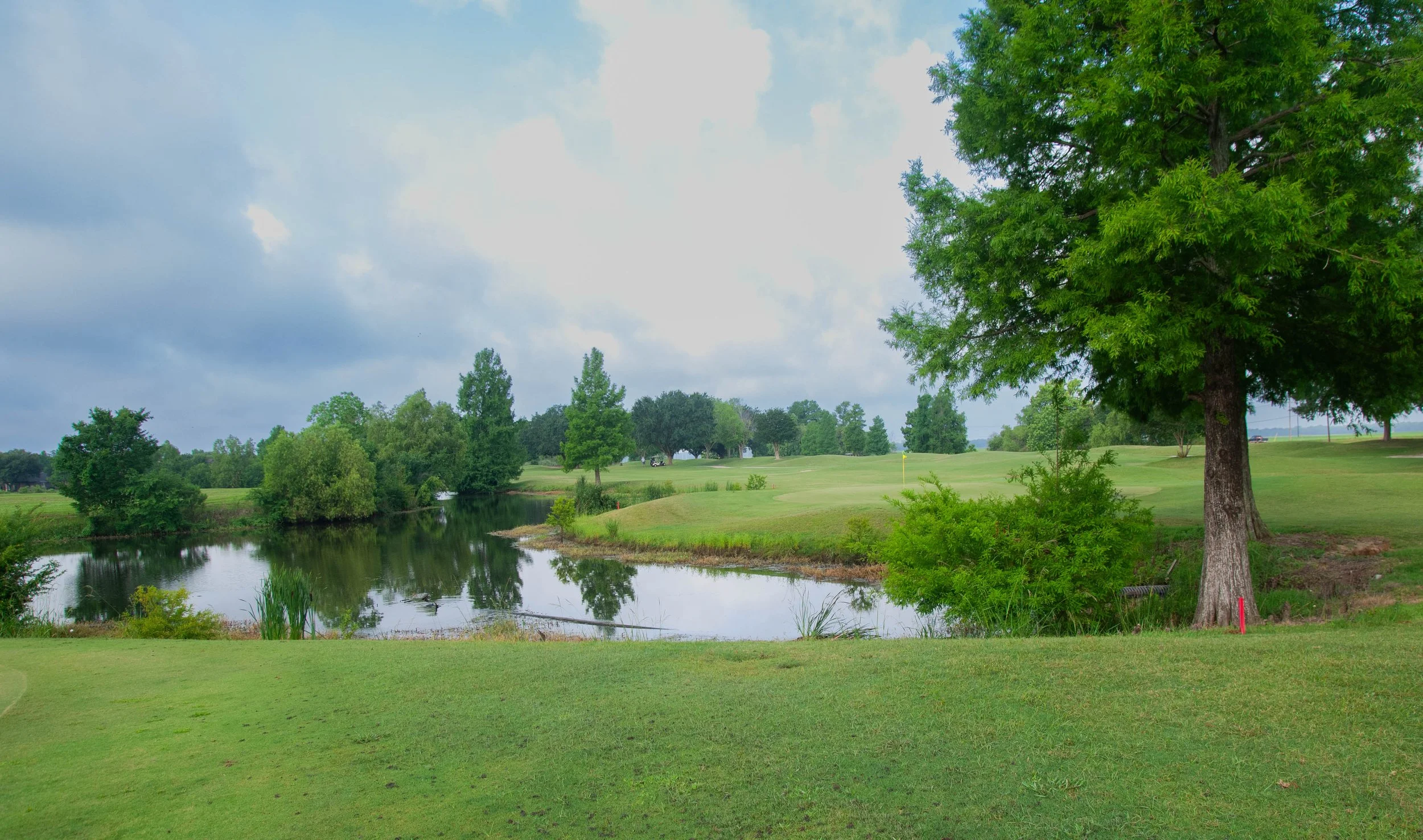 DSC_0002.jpg