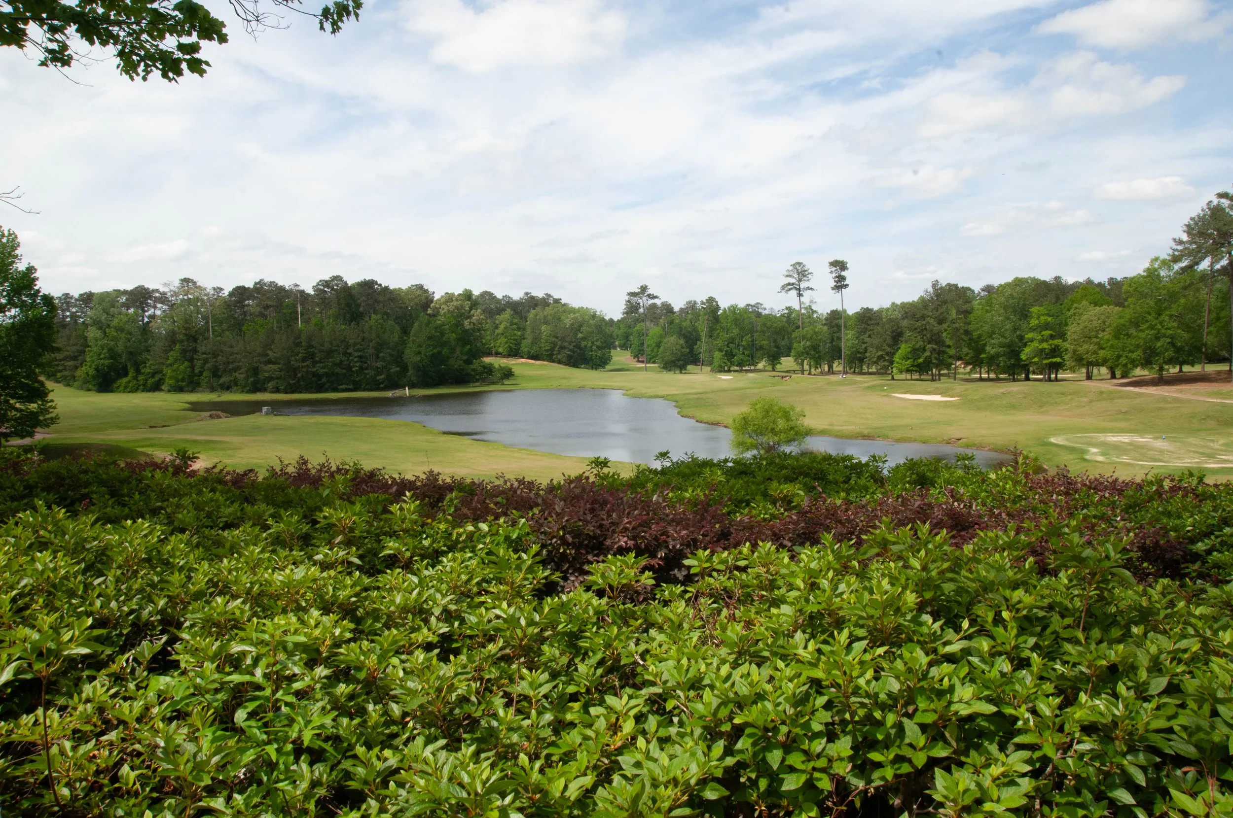 DSC_0051.jpg