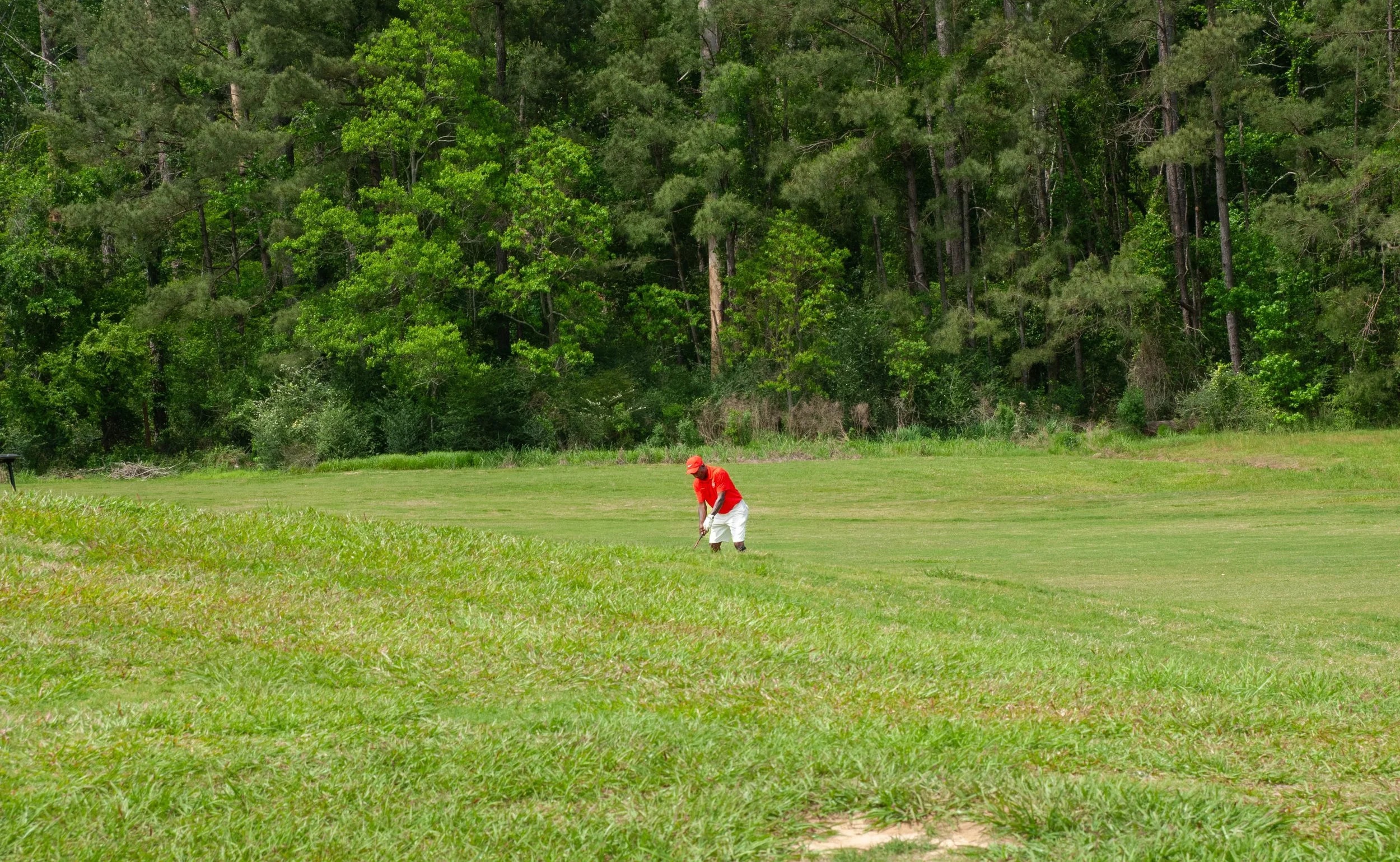 DSC_0059.jpg