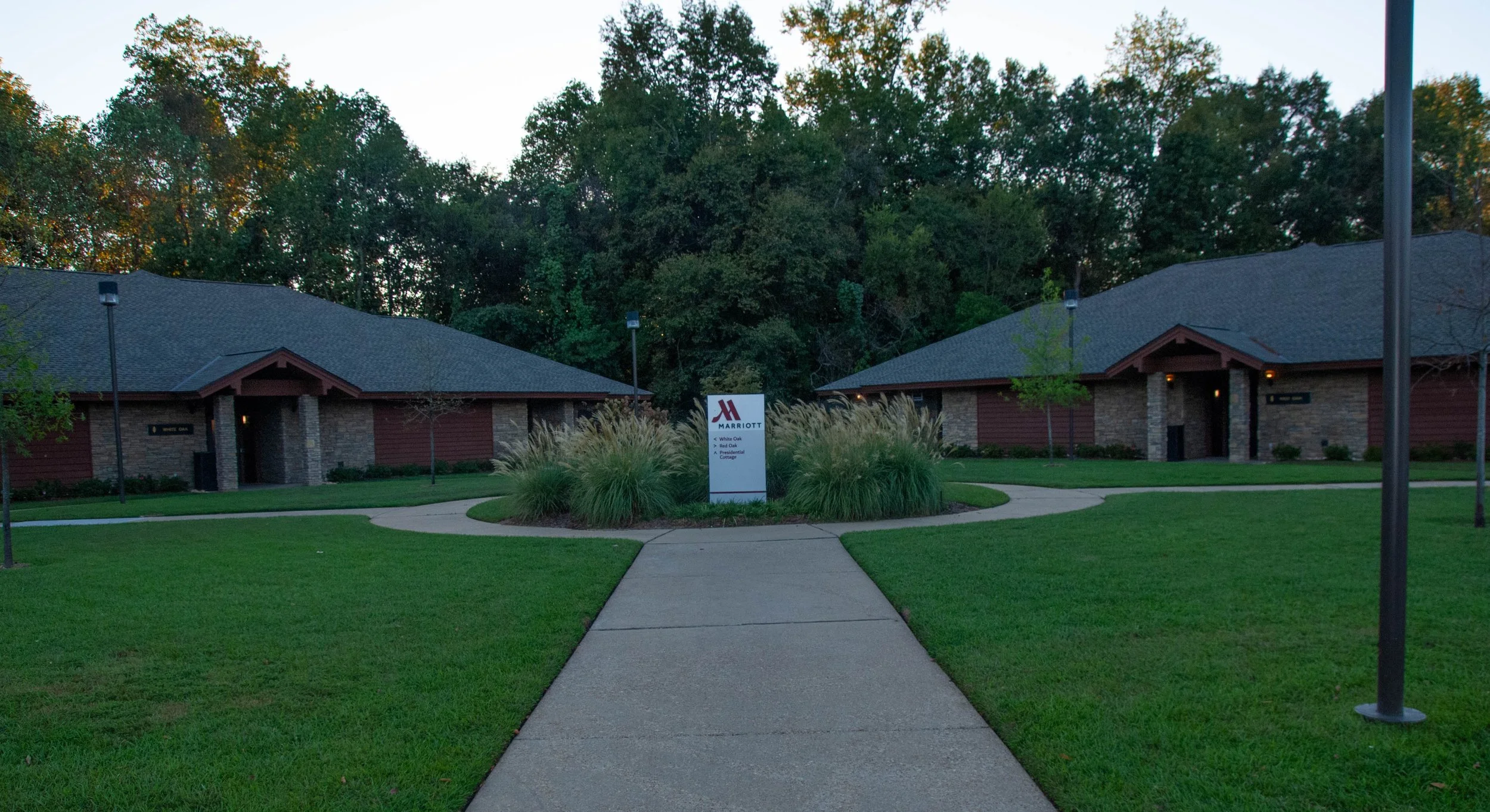 DSC_0169.jpg