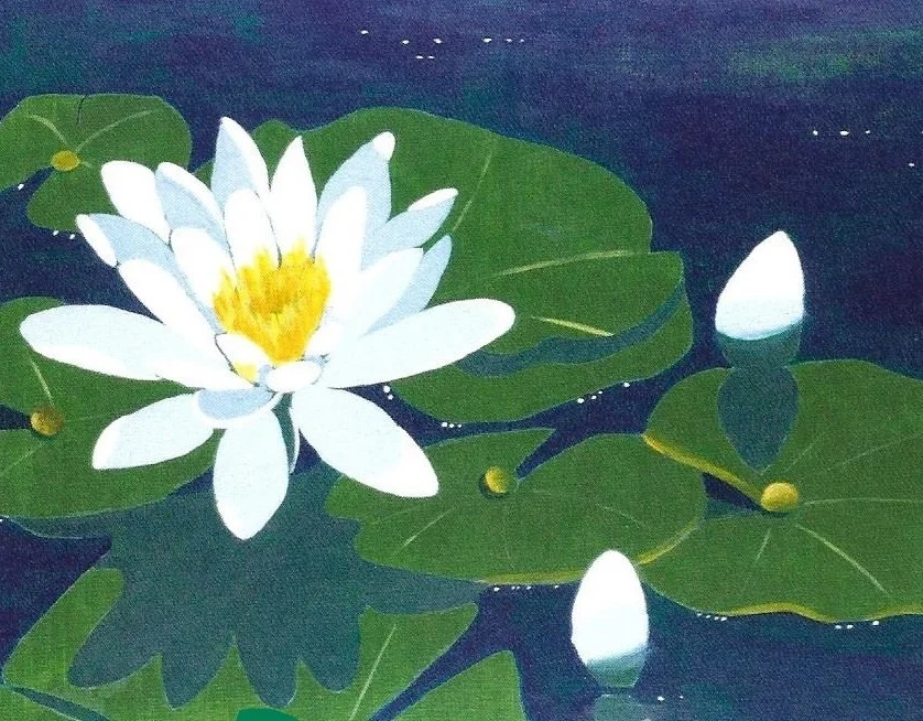 waterlily.jpg