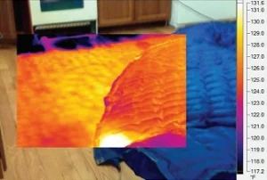 545d2-dryingafloodhousewithdrymaticheattechnology.jpg