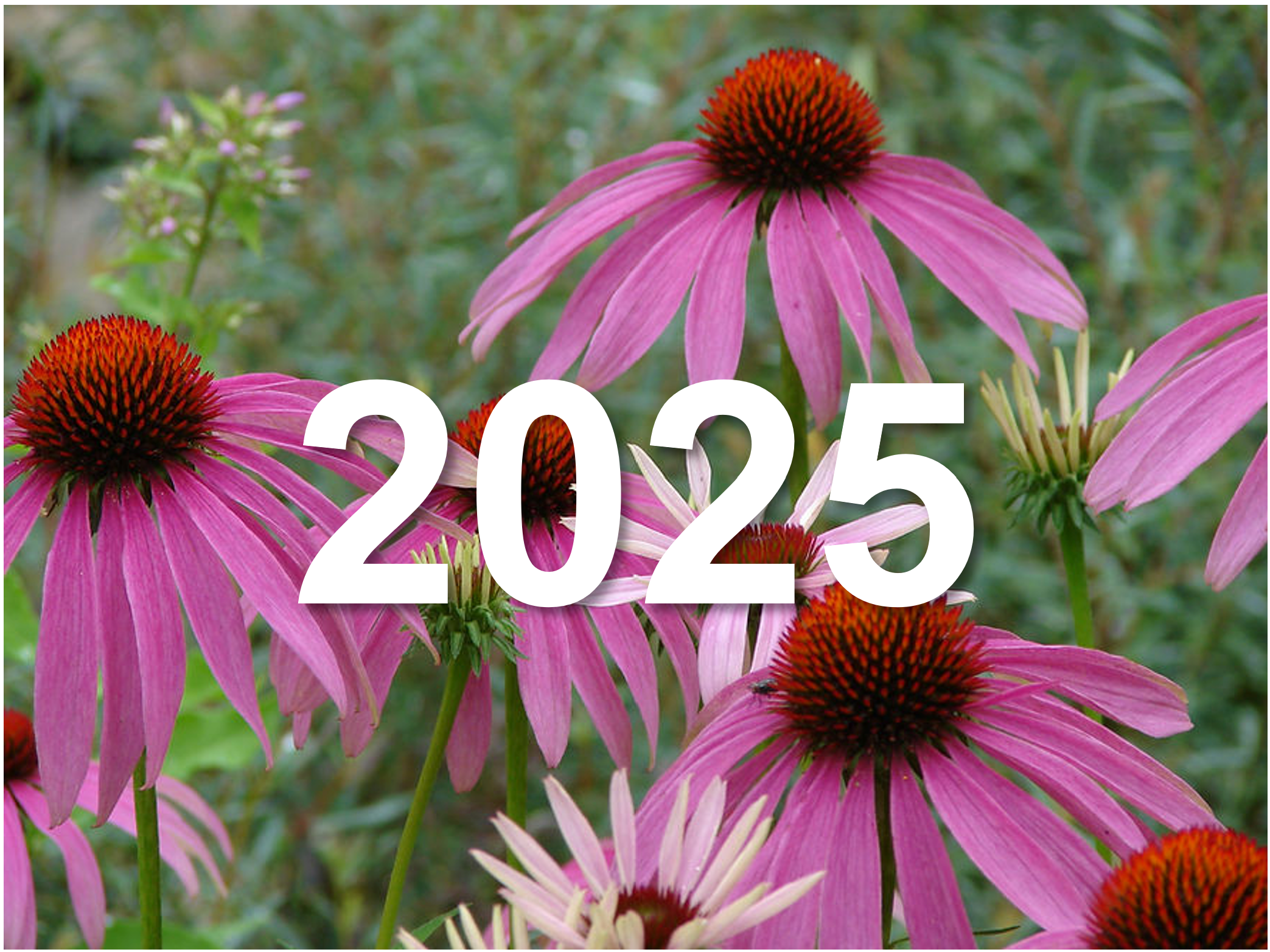 Screenshot 2026-04-27 213059.png