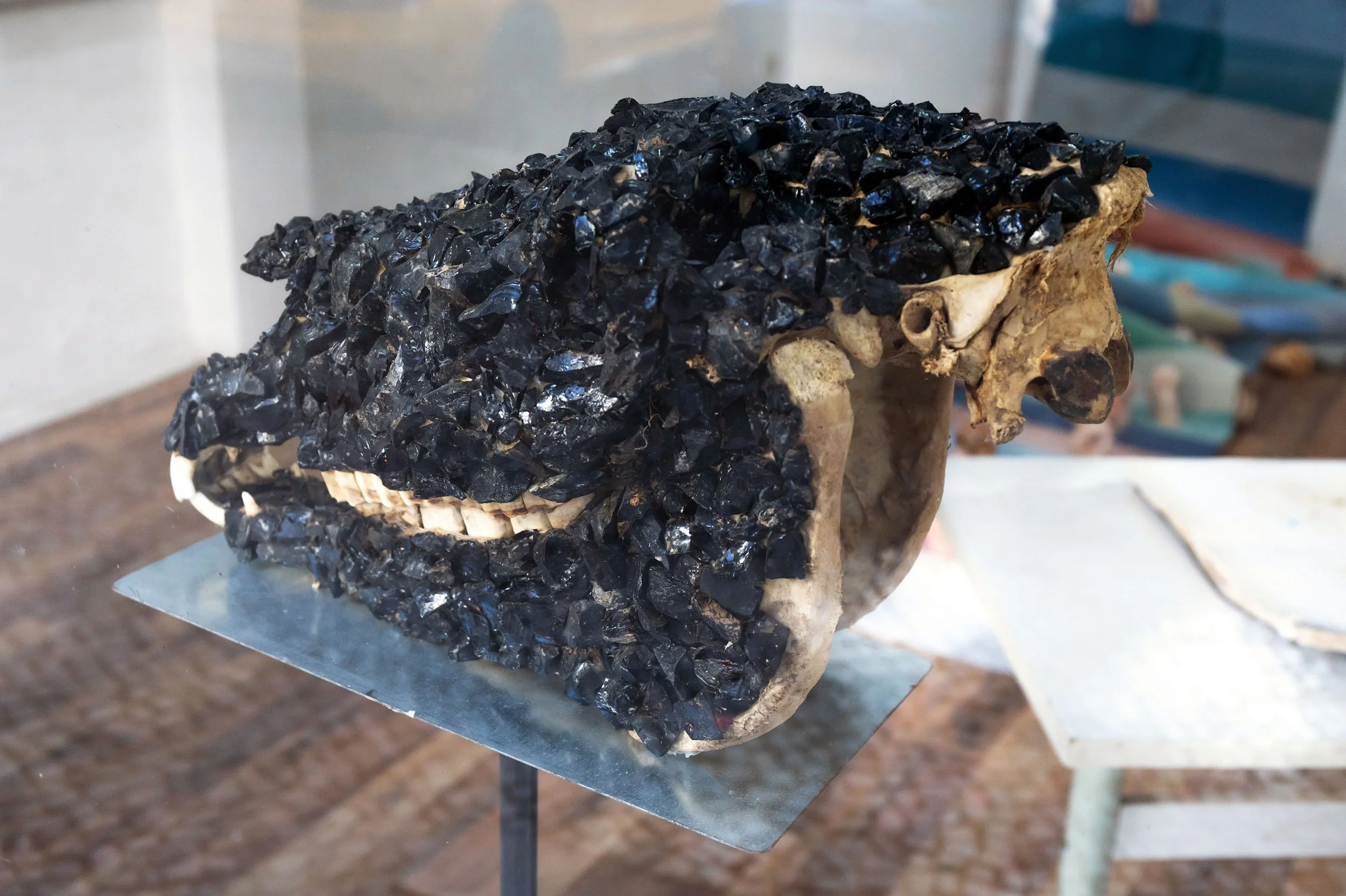 KG_AUGENSTERN_SMALL_030.jpg