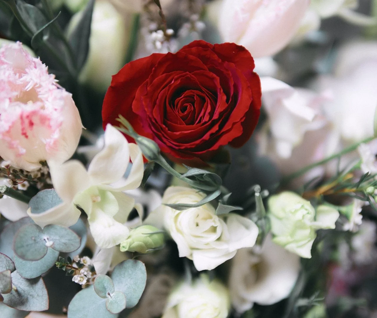 Untitled_1.30.3.jpg