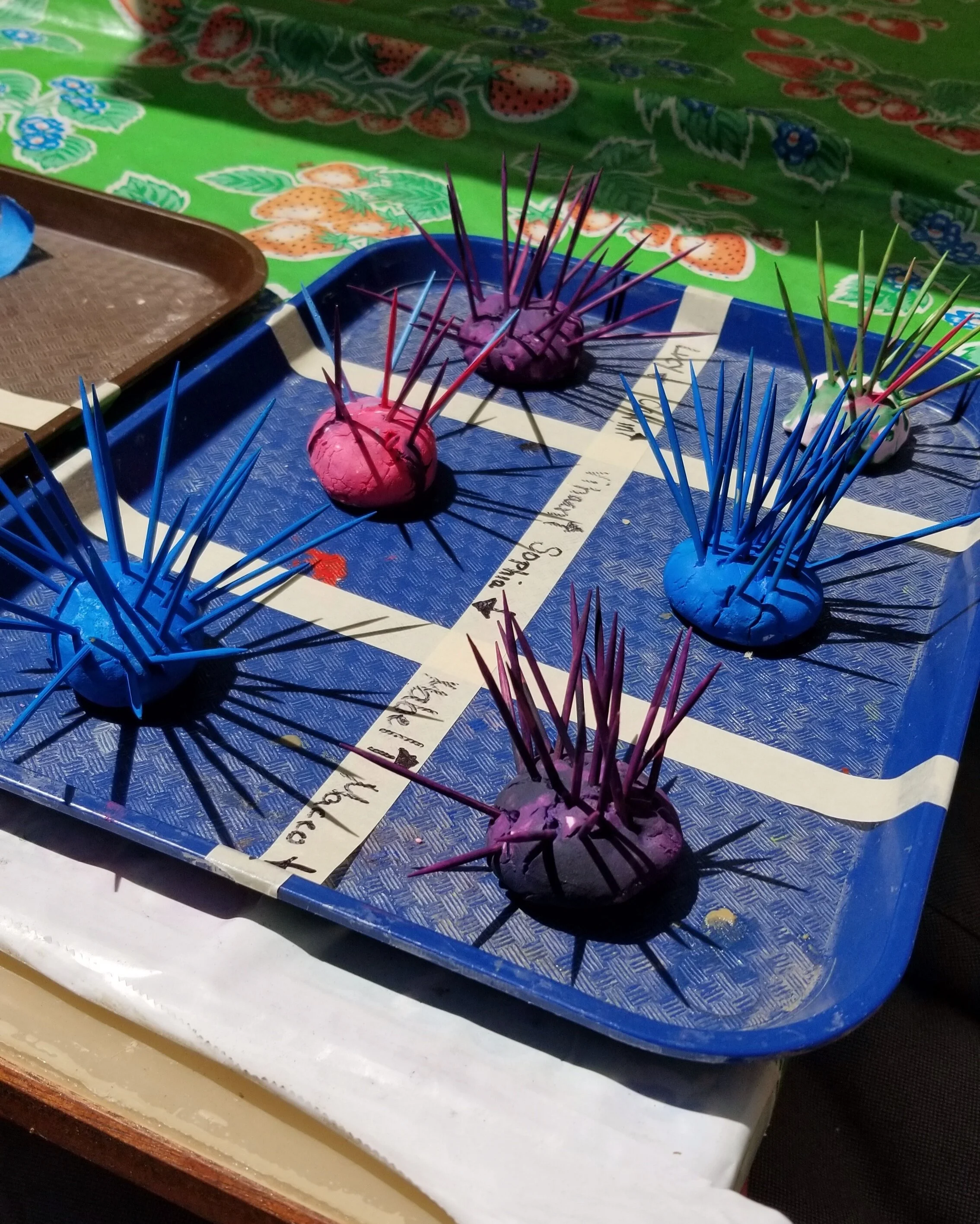 Sea Urchins (Pre-K through 1st grade)