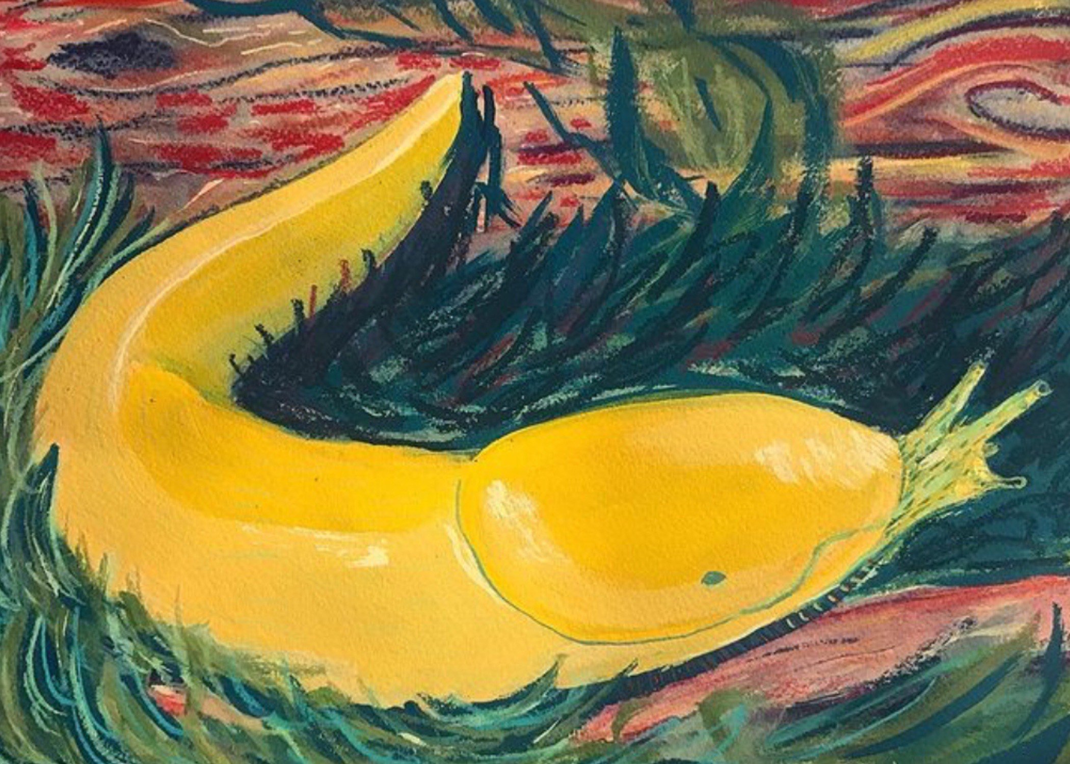 Banana Slug Card
