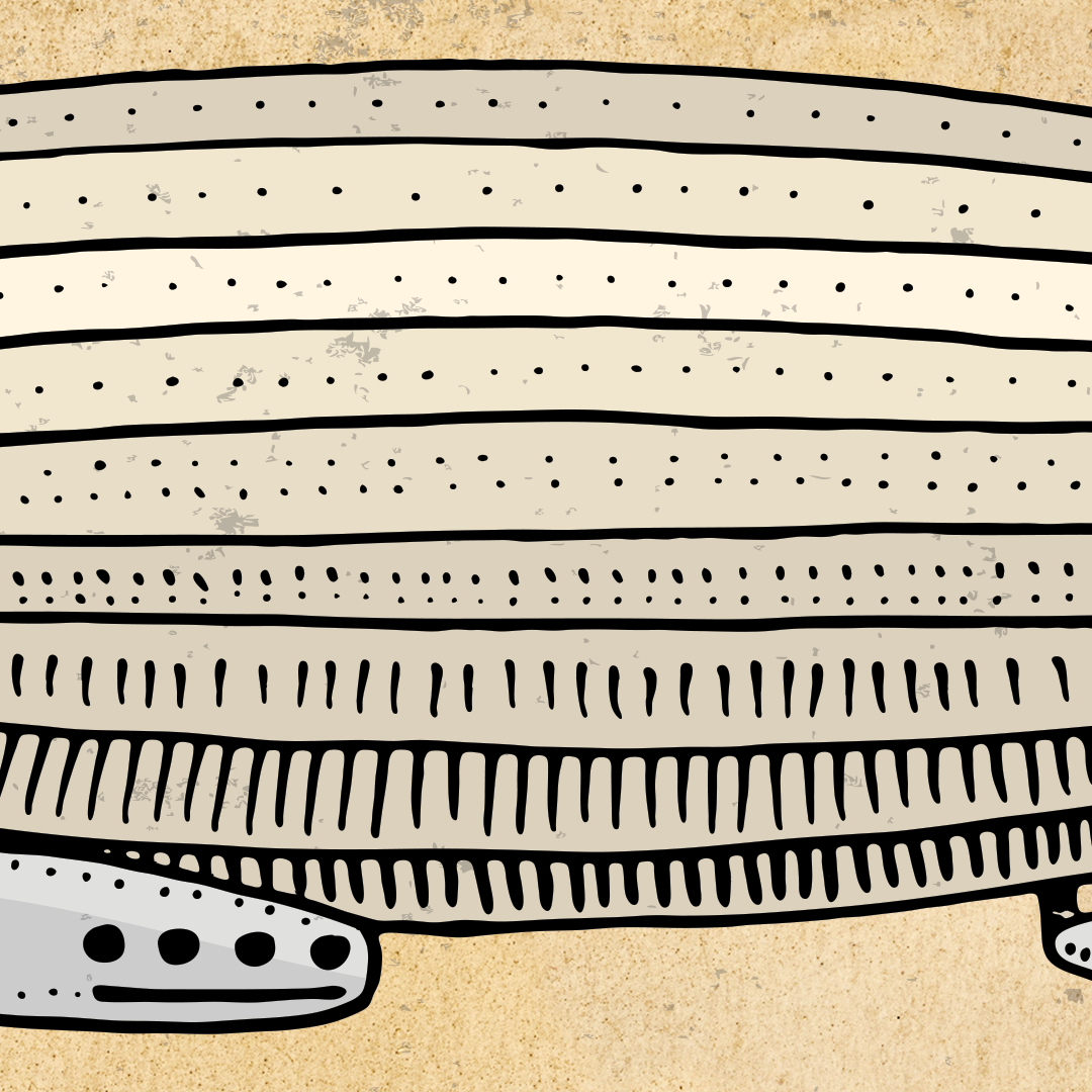 34436RND_Zeppelin_FB-CS_v1_slide2.png