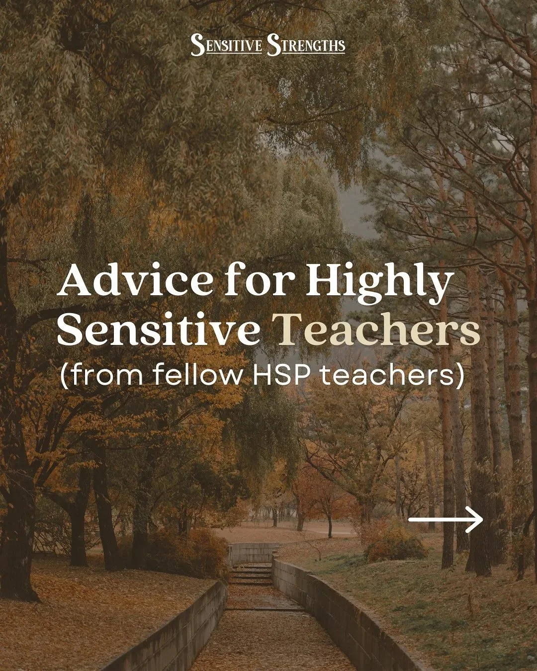 Is teaching sustainable for highly sensitive people?

According to the community here, it can be when you&hellip;

➡️ prioritize solo breaks

➡️ hold firm boundaries with parents

➡️ let your students take the lead sometimes

What helps you find bala