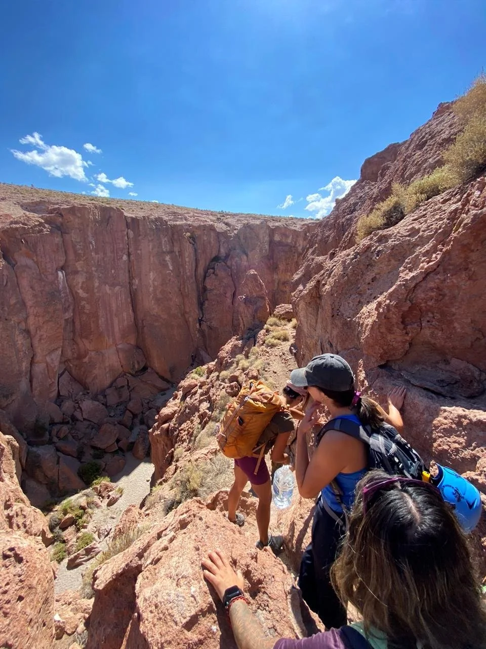 Chile CEDMSPA Desertika IMG_20250923_050315.jpg