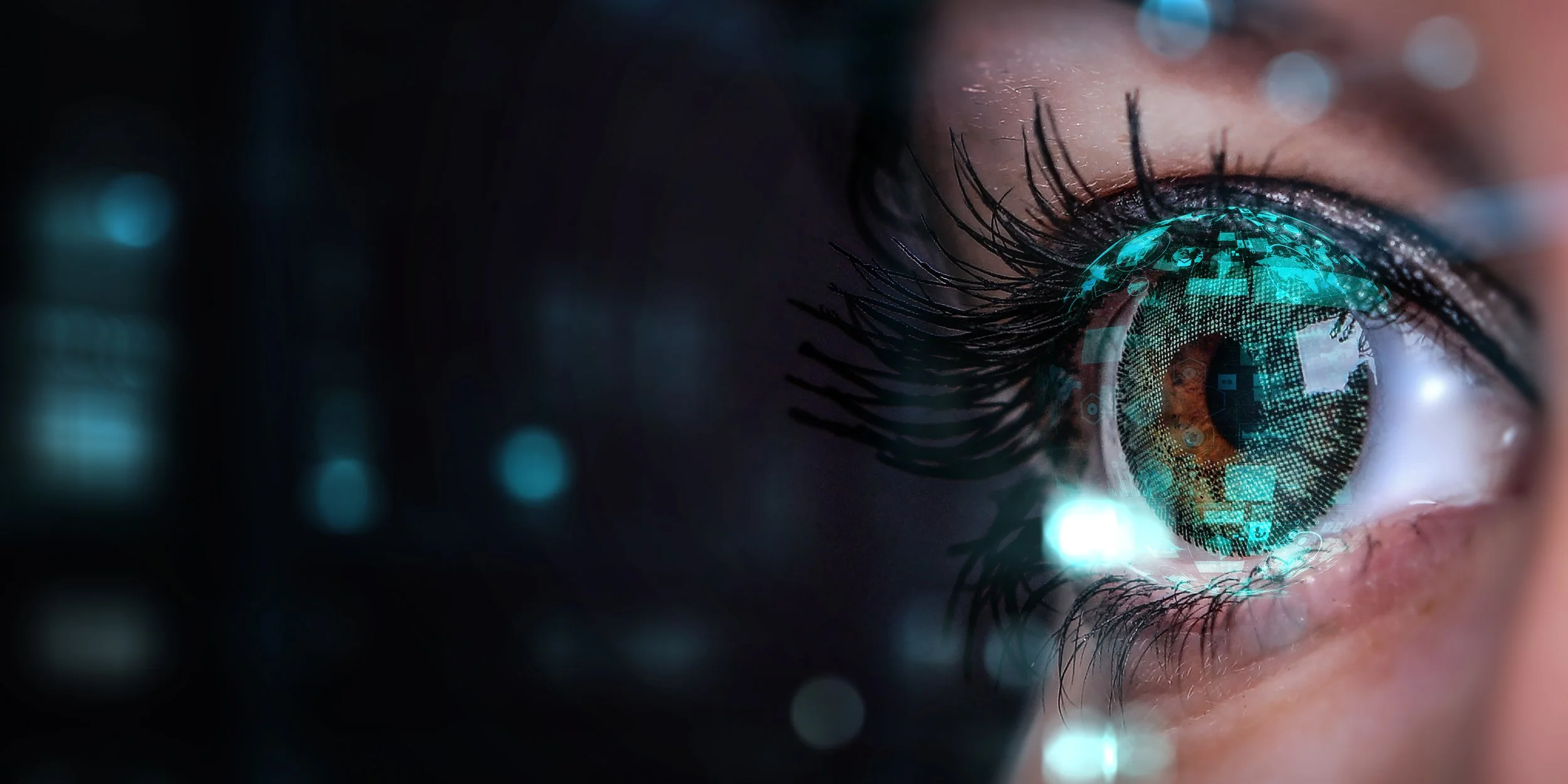 AdobeStock_358259619.jpeg