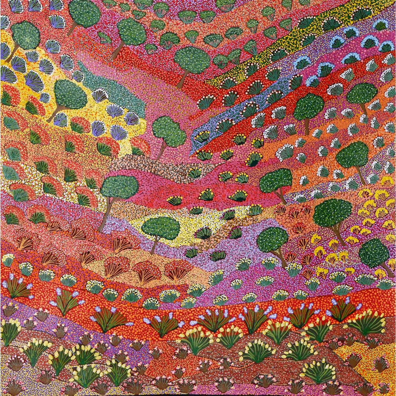 My Country and Bush Medicine Plants