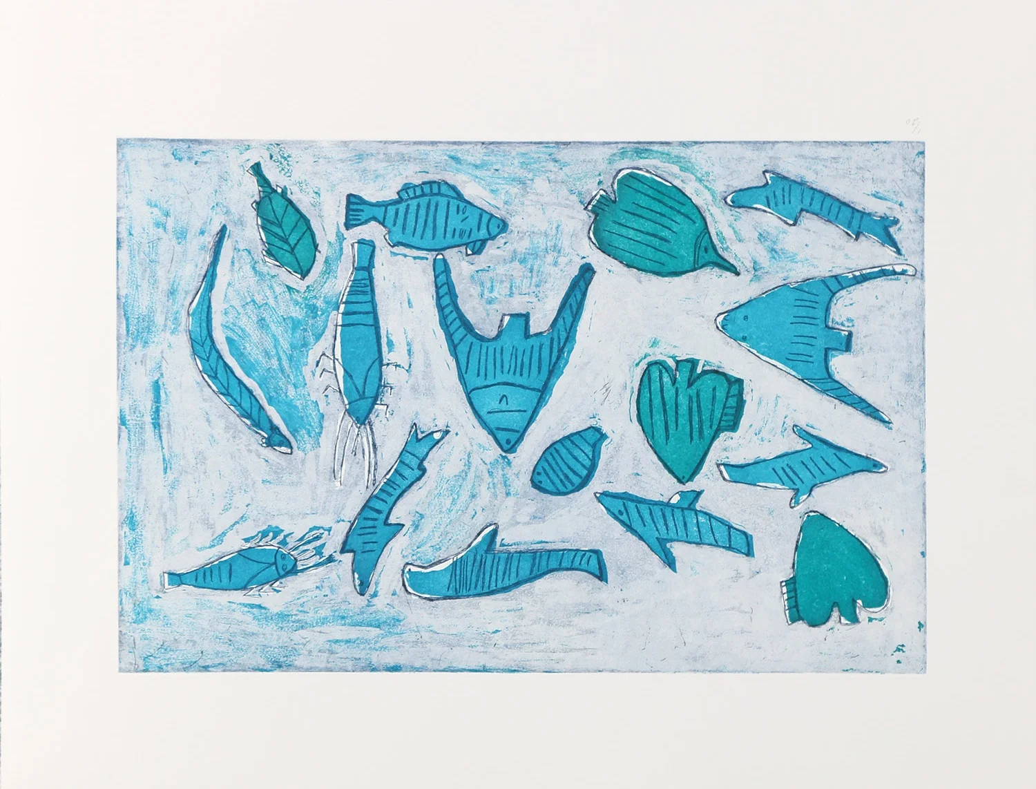 Rocky Point Sea Life