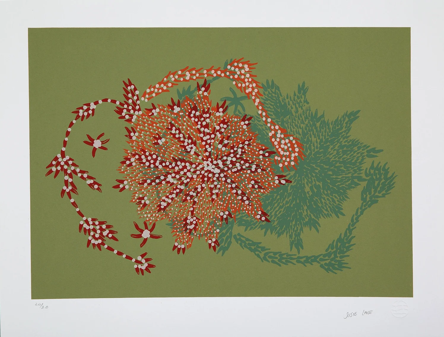 Bushflowers and Seeds