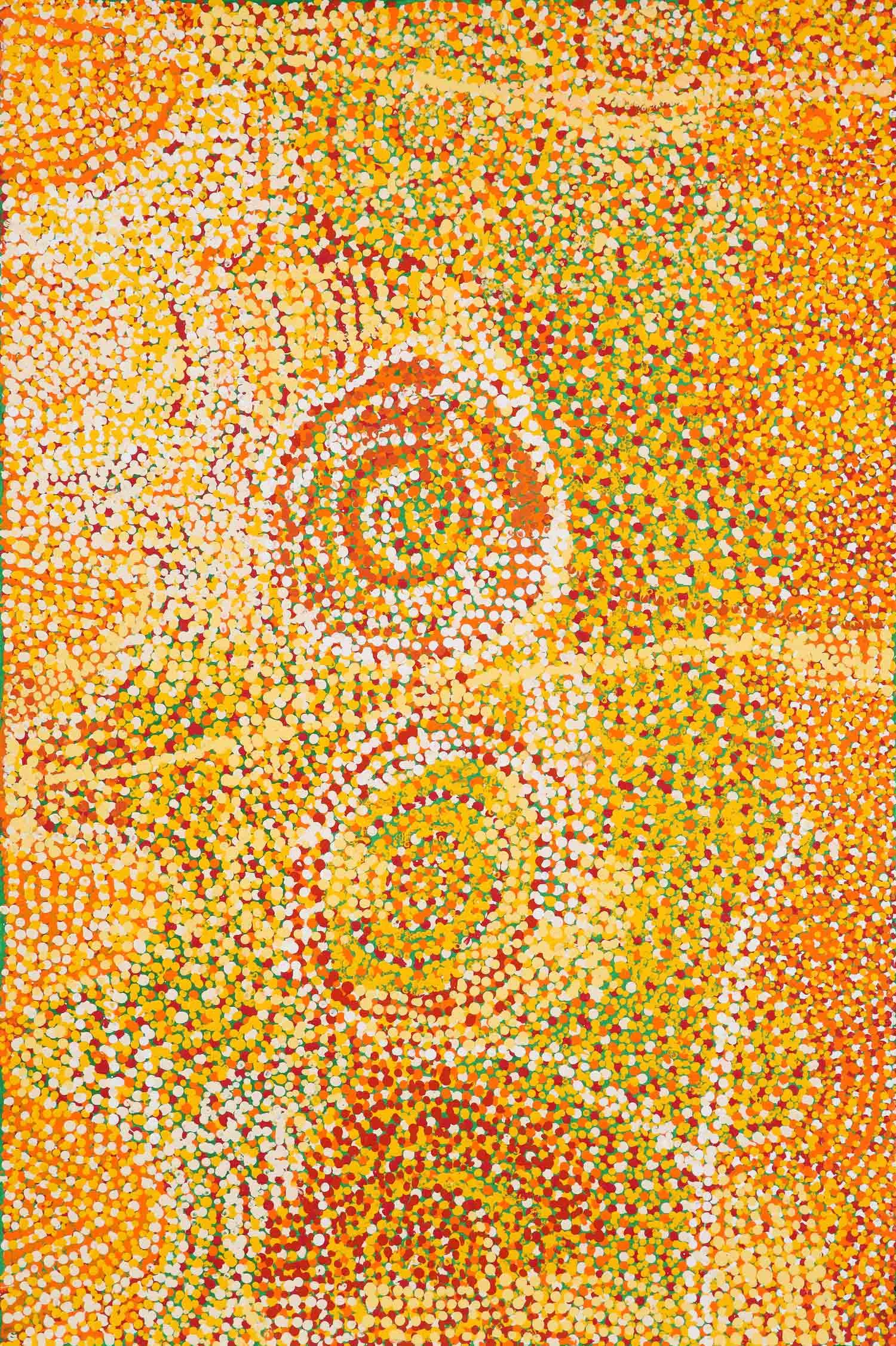 julpuntjulpunpa Talitjara - Wildflowers in the Sandhills