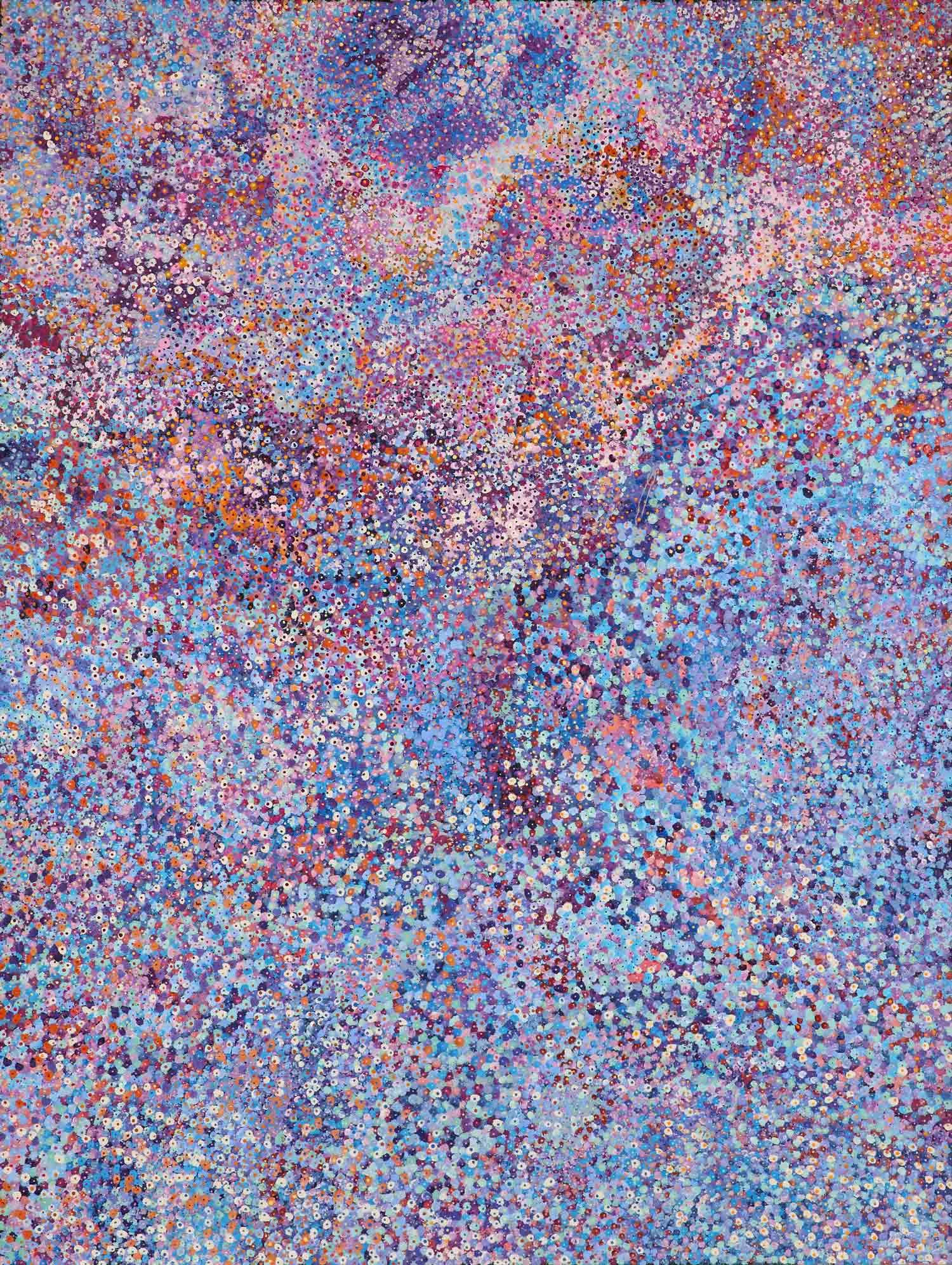 Tjulpun-tjulpunpa - Desert Wildflowers