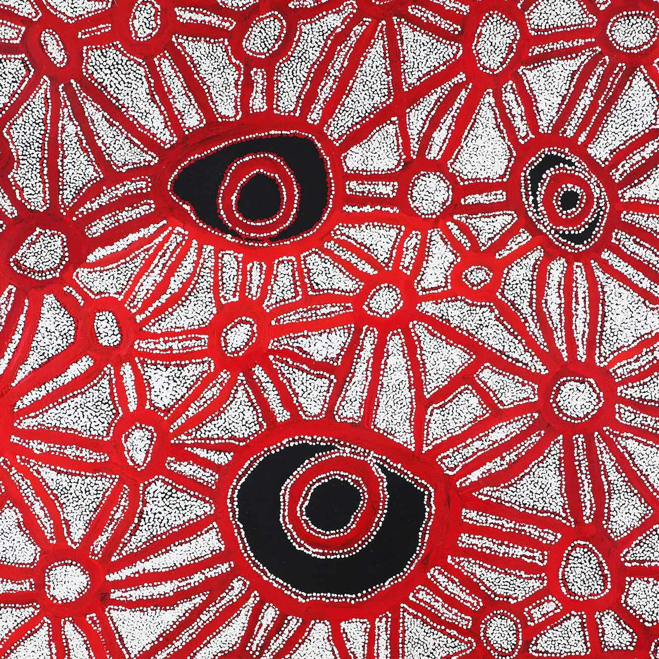 Selected: Men from Spinifex Country