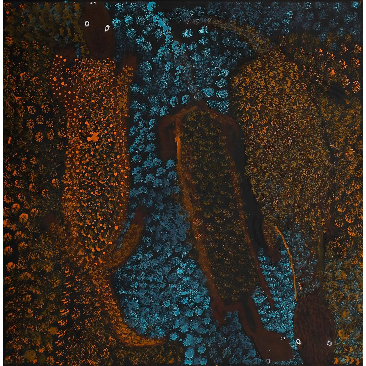 Ngintaka Mankur - Perentie Lizard Story