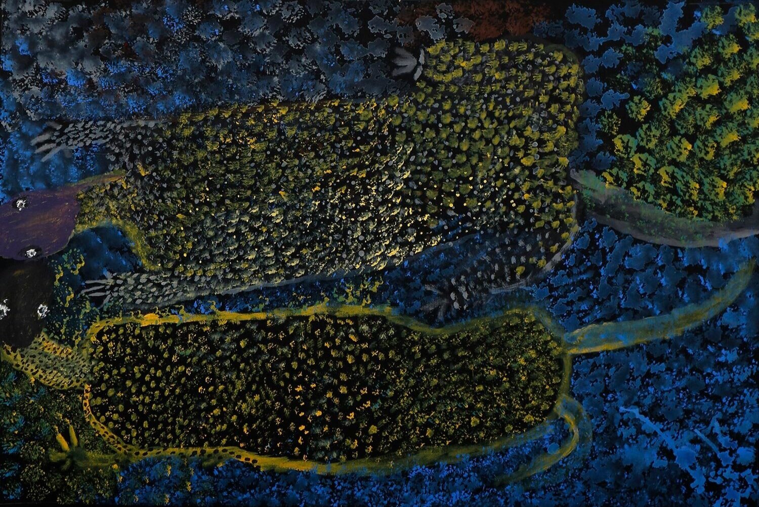 Ngintaka Mankur - Two Perentie Lizards