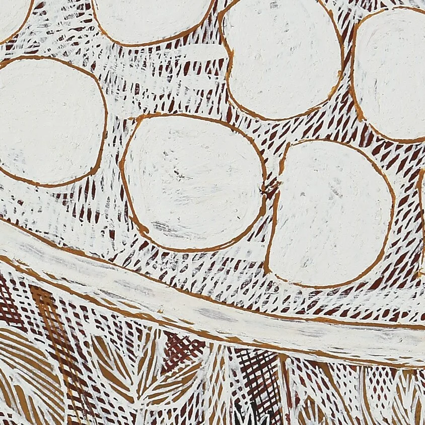 Maypal –&nbsp;Shellfish of the Arafura Coast