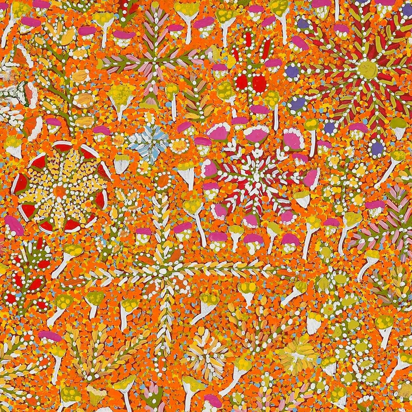 Arreth –&nbsp;Strong Bush Medicine