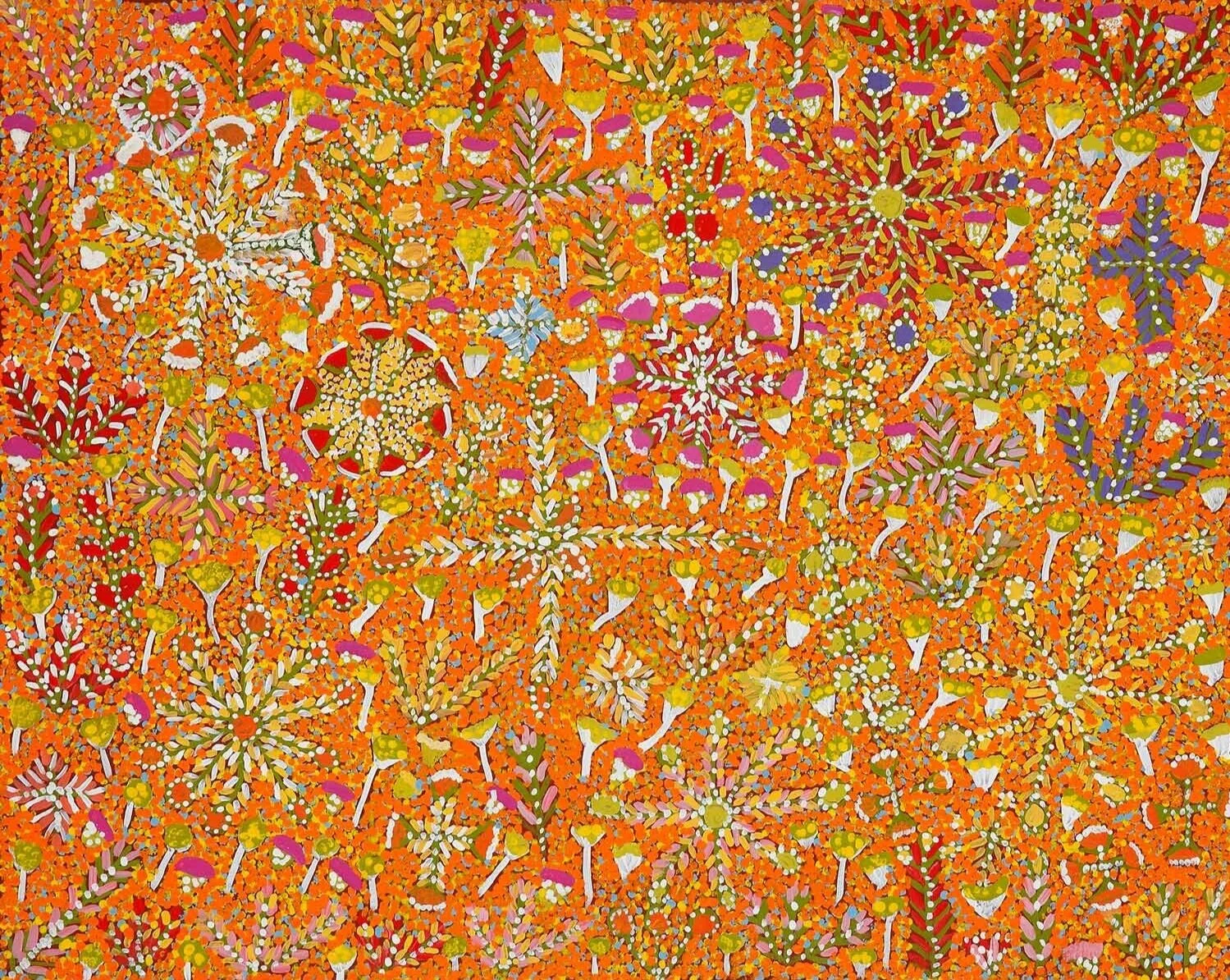 Bush Flowers and Bush Medicine Plants