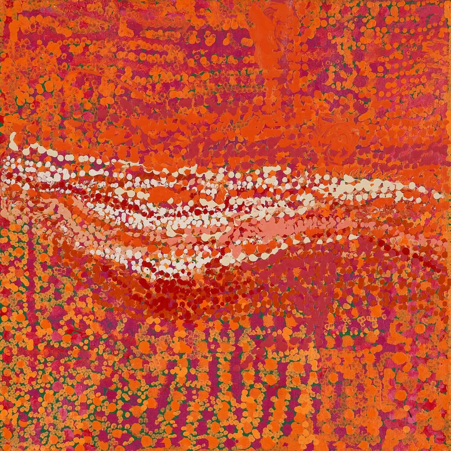 Tjulpuntjulpunpa Talitjara - Wildflowers in the Sandhills