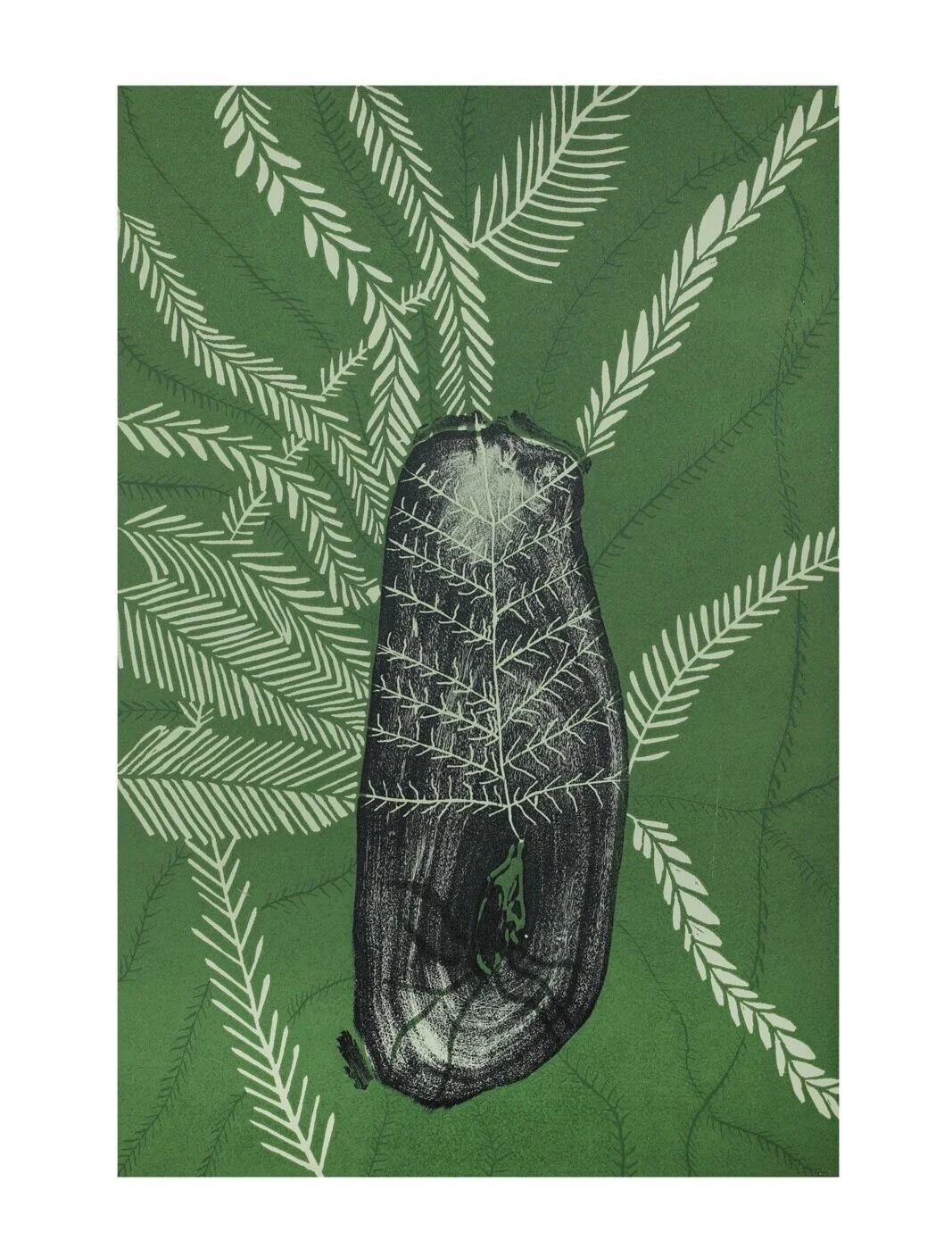Djomula’ - the Whistling Tree