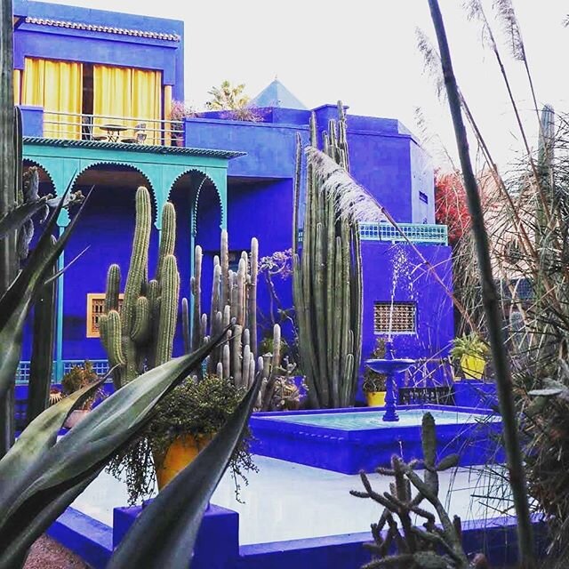 Let Jardin Majorelle 🌺 We must have taken a million photos of this garden, a beautiful little oasis in central Marrakech.
&bull;
We were the second people in, arriving just before it opened so we had the place almost to ourselves for the first 15 or